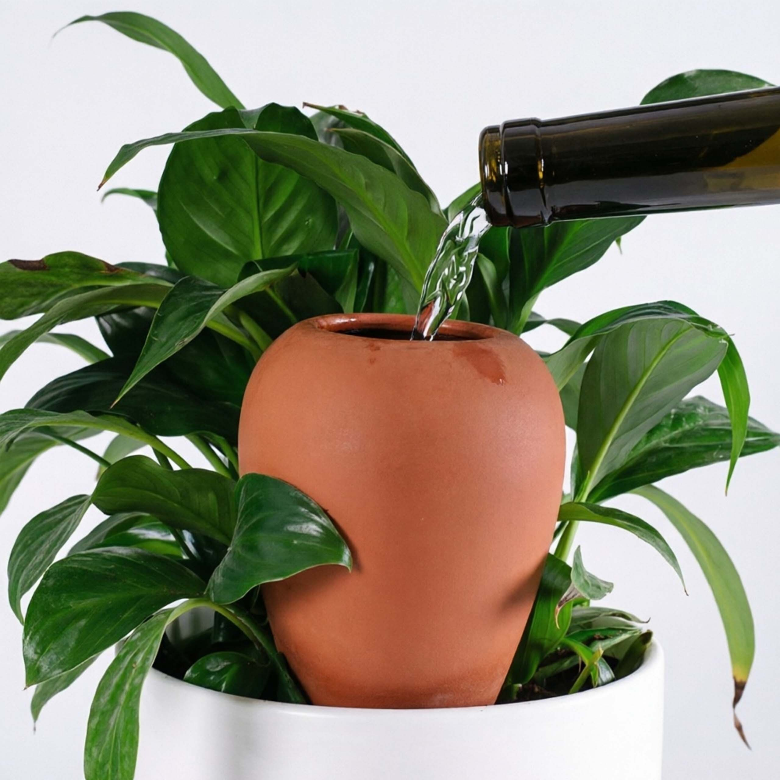 Wasser giesst aus einer Flasche in einen Tonkrug in einer Topfpflanze.