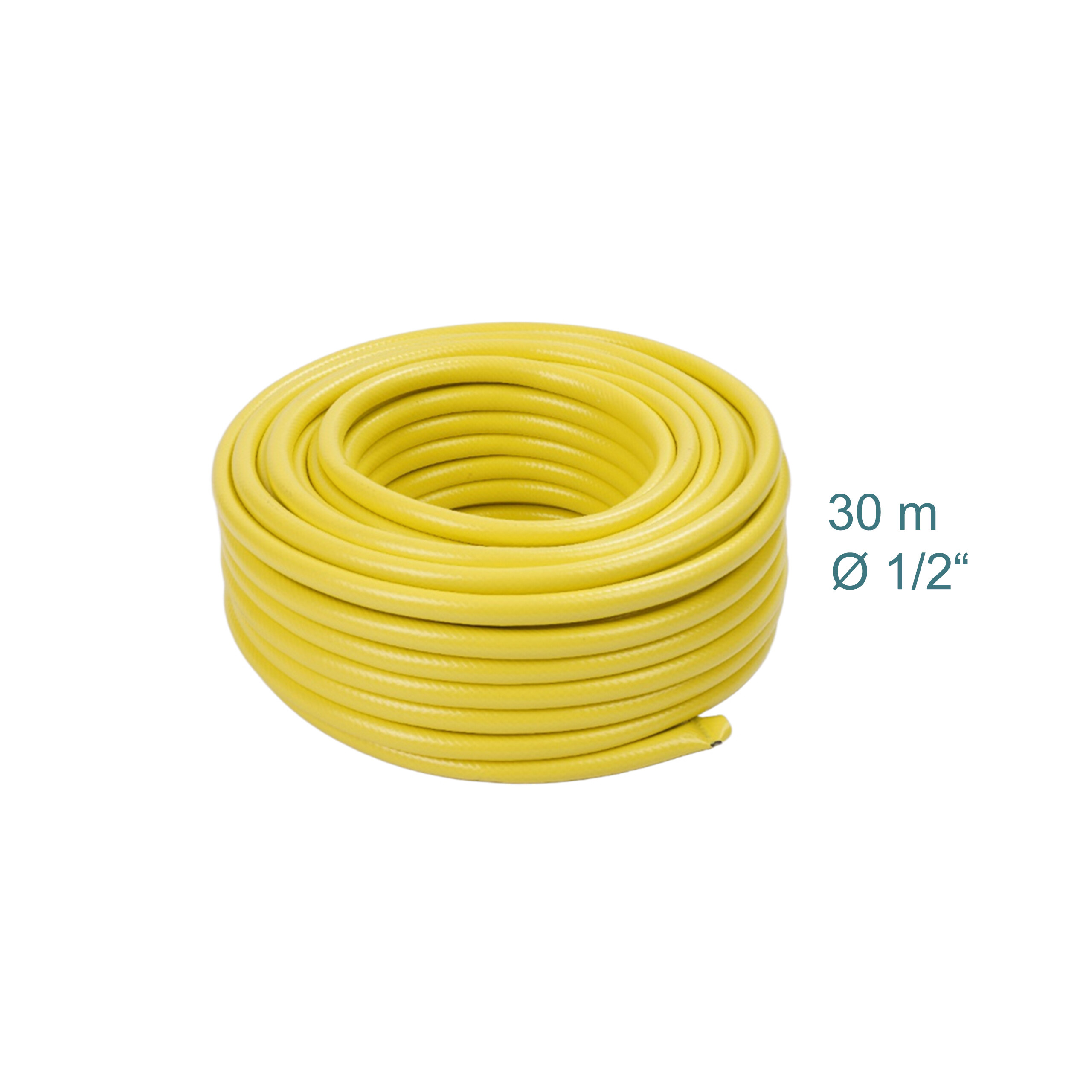 Aufgerollter gelber Gartenschlauch, 30 m lang und 1/2 Zoll Durchmesser, auf weißem Hintergrund.
