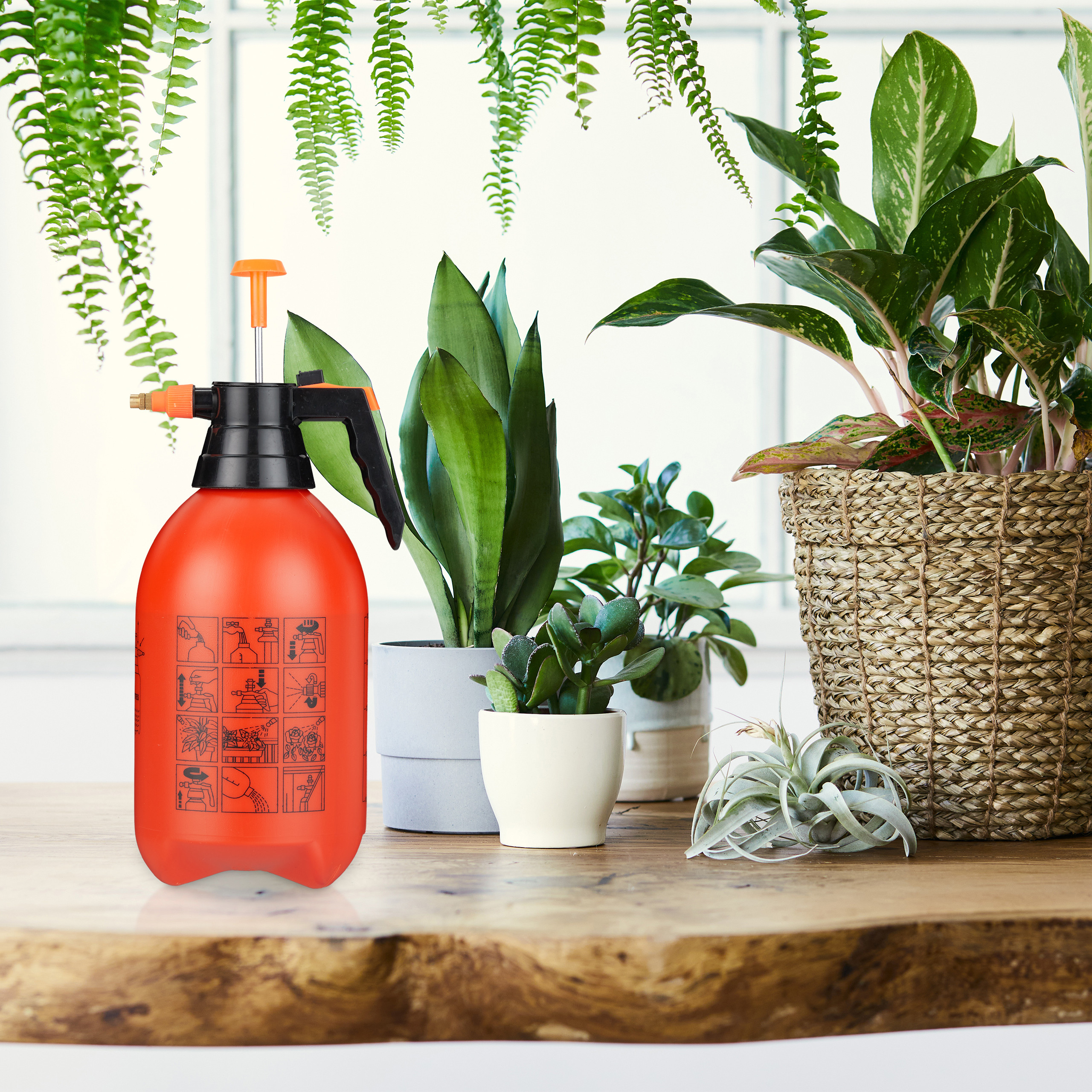 Rote Sprühflasche und verschiedene Topfpflanzen stehen auf einem Holztisch vor einem Fenster.