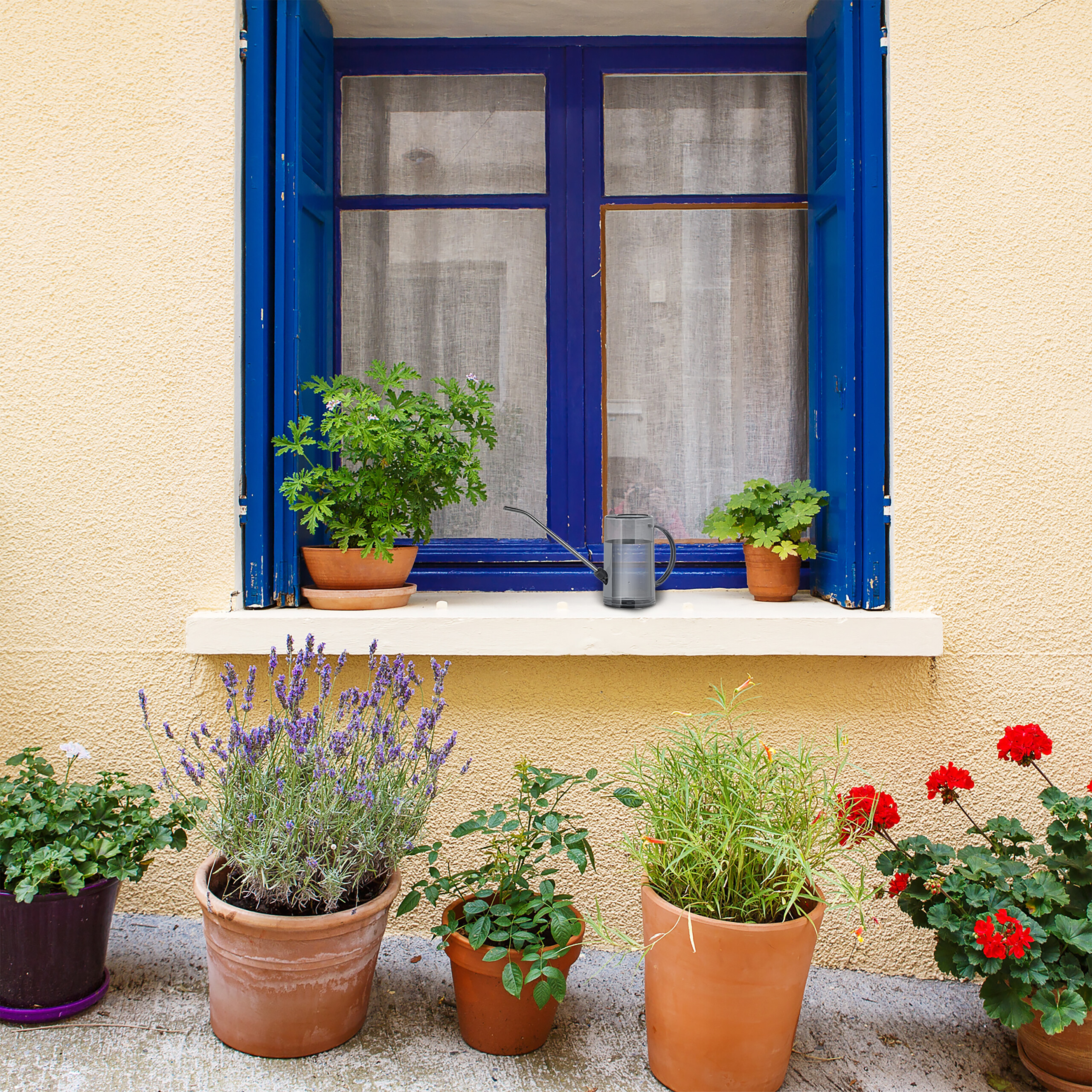 Blaue Fensterläden und Topfpflanzen auf einer hellen gelben Wand.