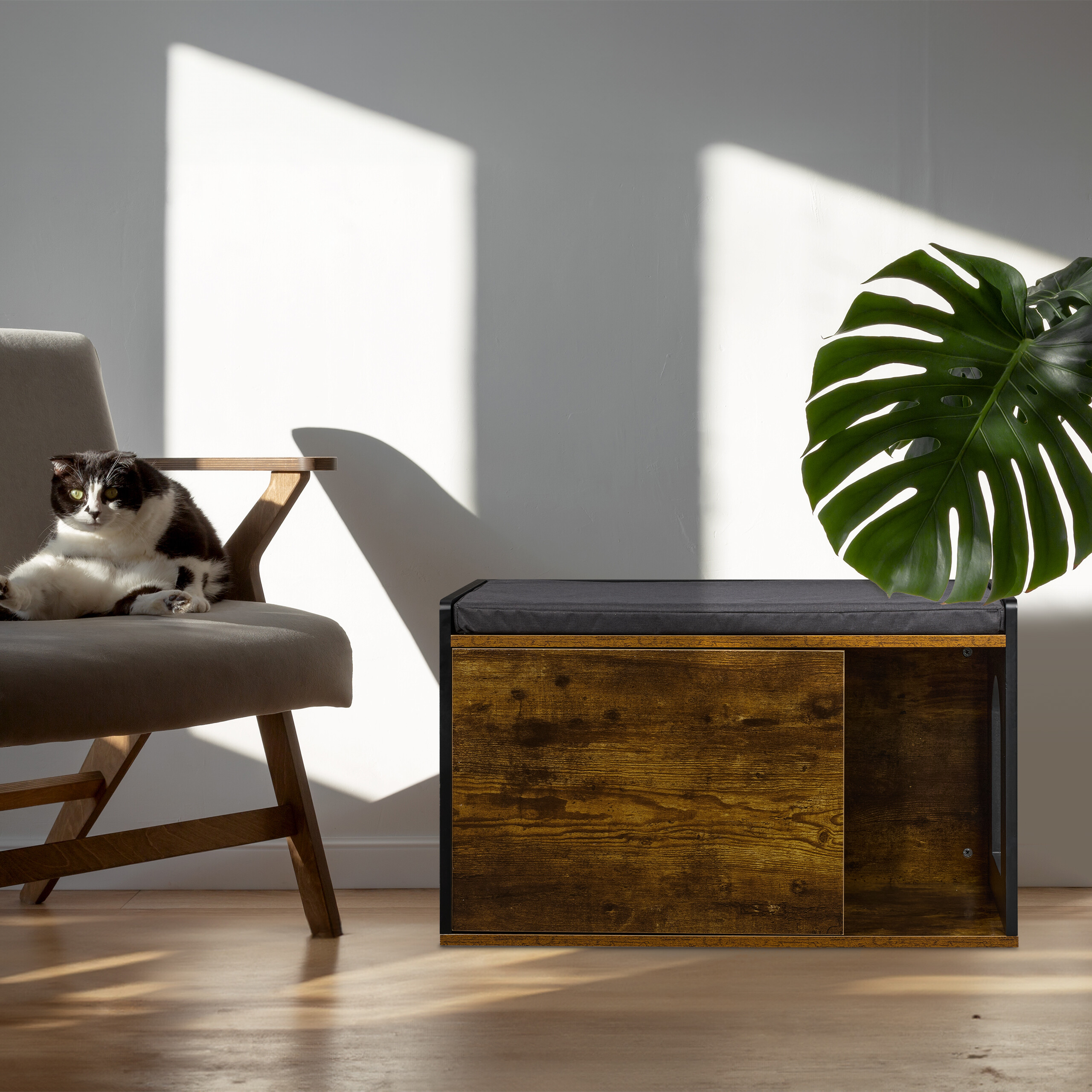 Eine schwarz-weiße Katze sitzt auf einem grauen Stuhl neben einer Holztruhe mit einem grünen Monstera-Blatt.