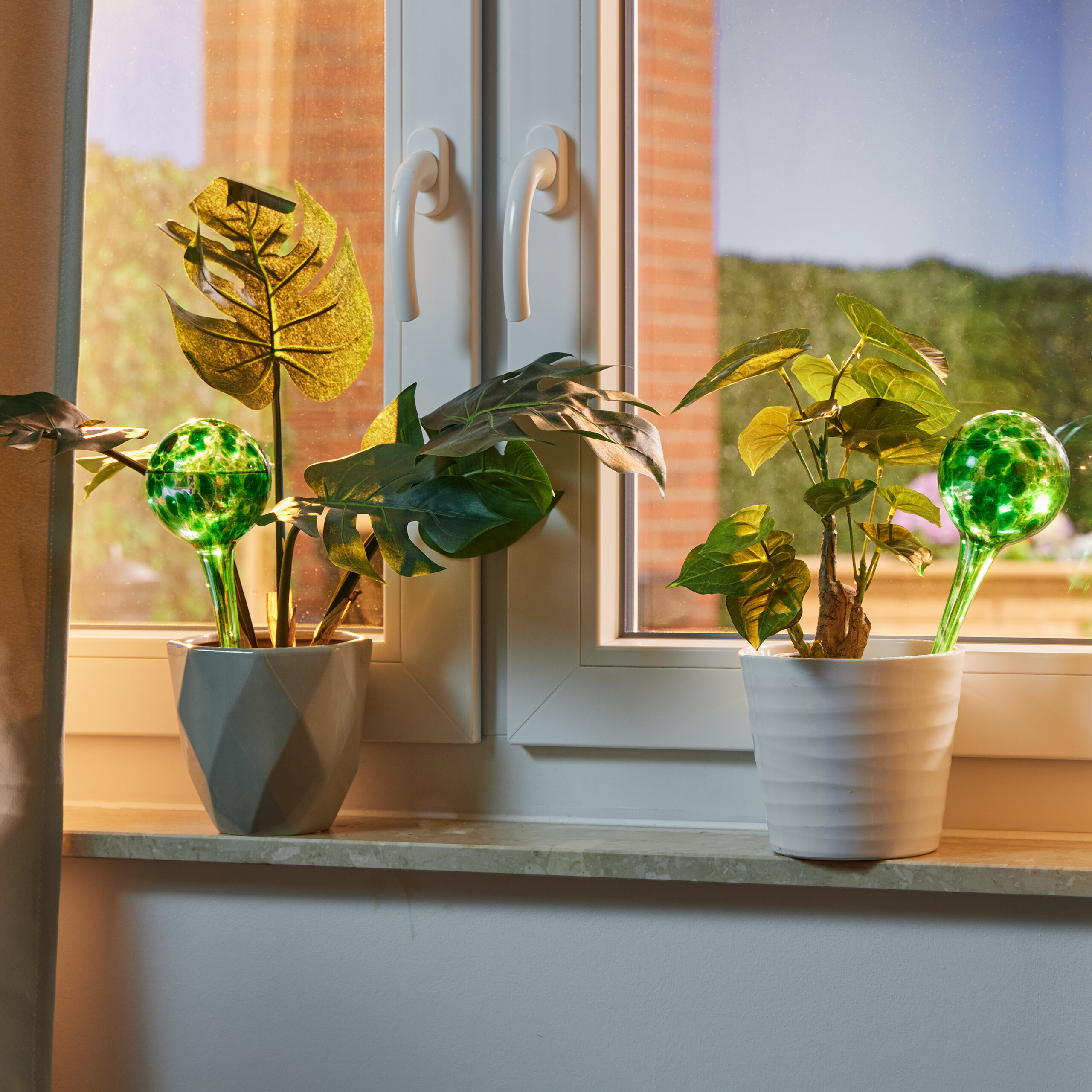 Zwei Zimmerpflanzen mit grünen Bewässerungskugeln stehen auf einer Fensterbank vor einem weißen Fenster.