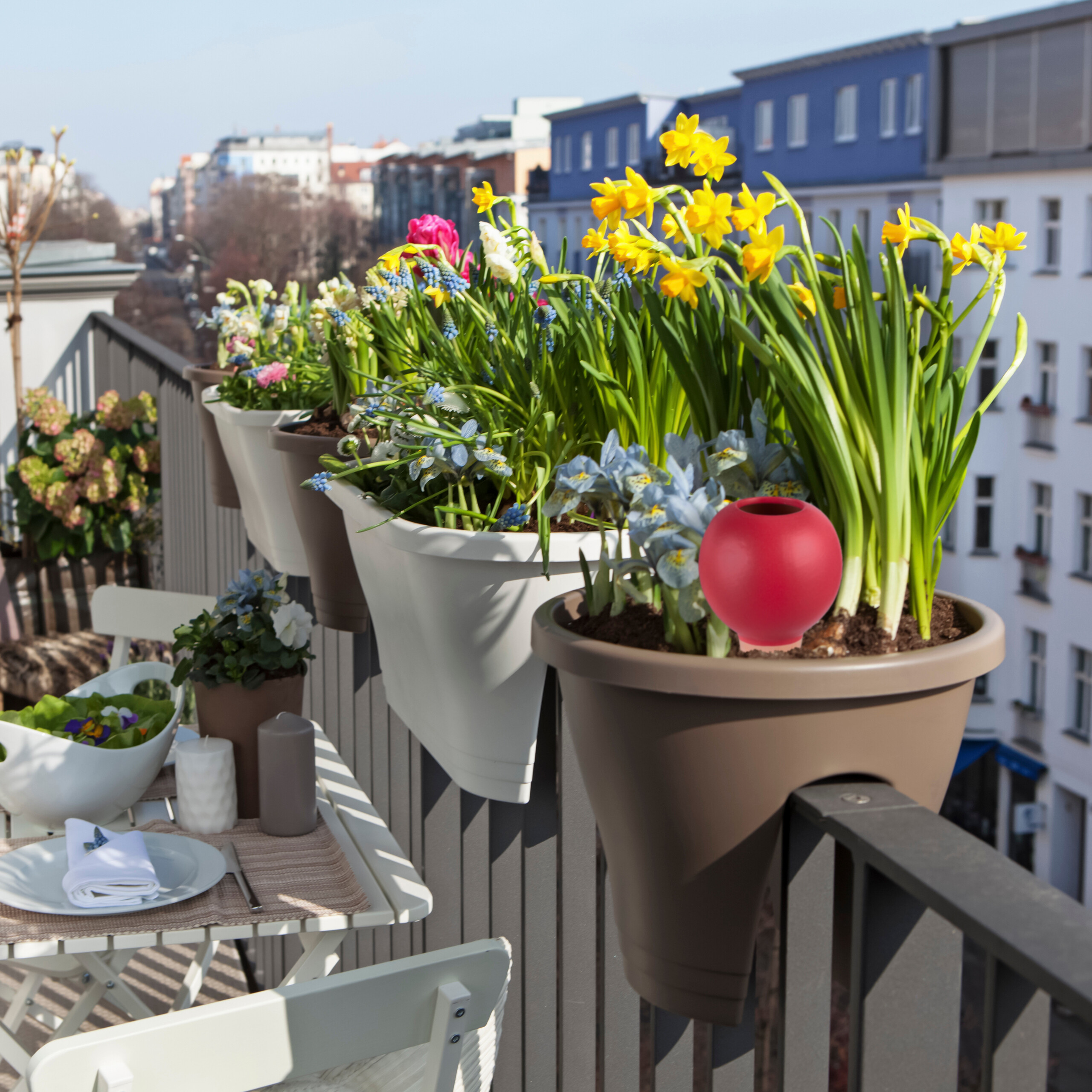 Ein sonniger Balkon mit gelben Narzissen in Pflanzkübeln und einem gedeckten Tisch mit Blumen und Geschirr.