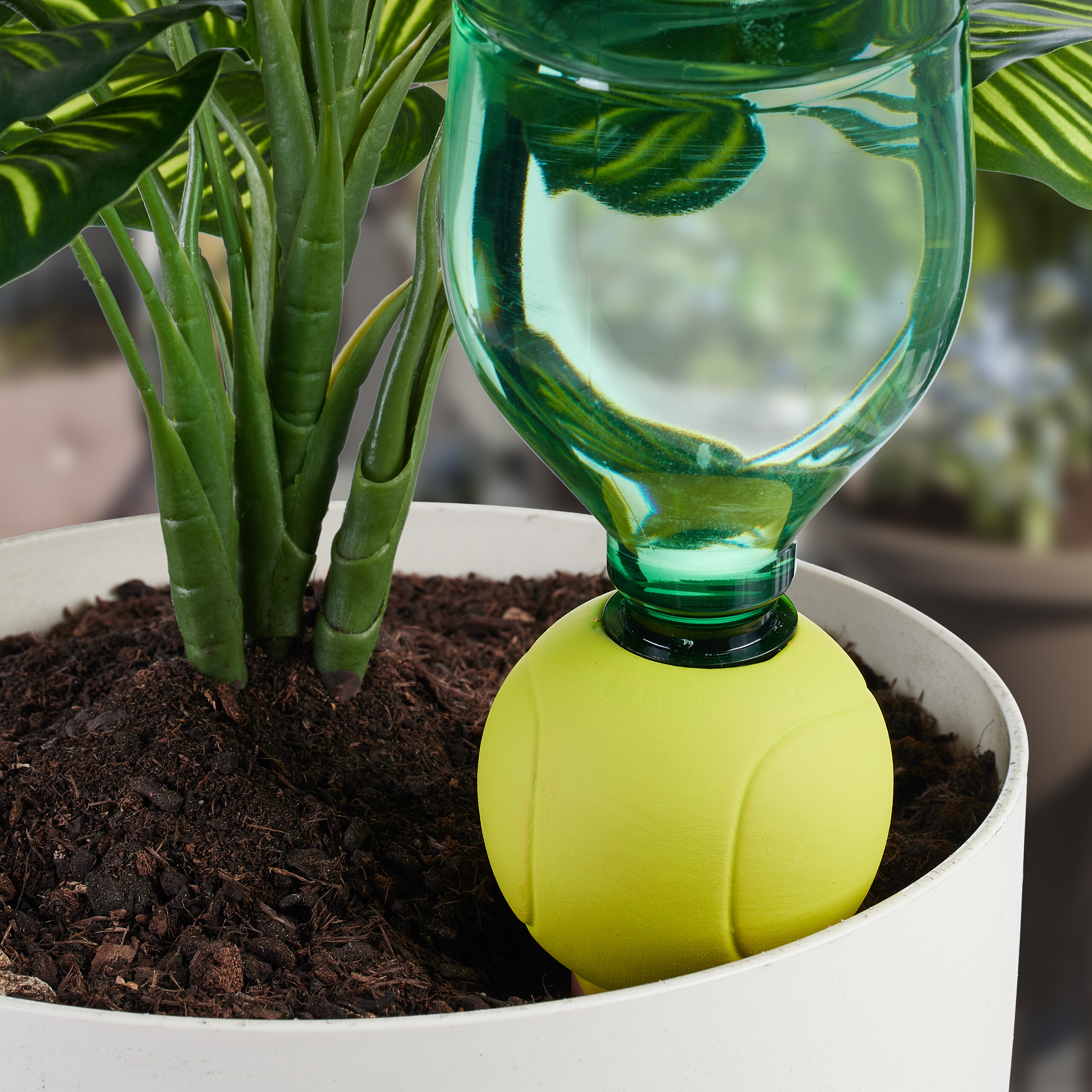 Eine grüne Wasserflasche steckt kopfüber in einem gelben Bewässerungsball in einem Topf.