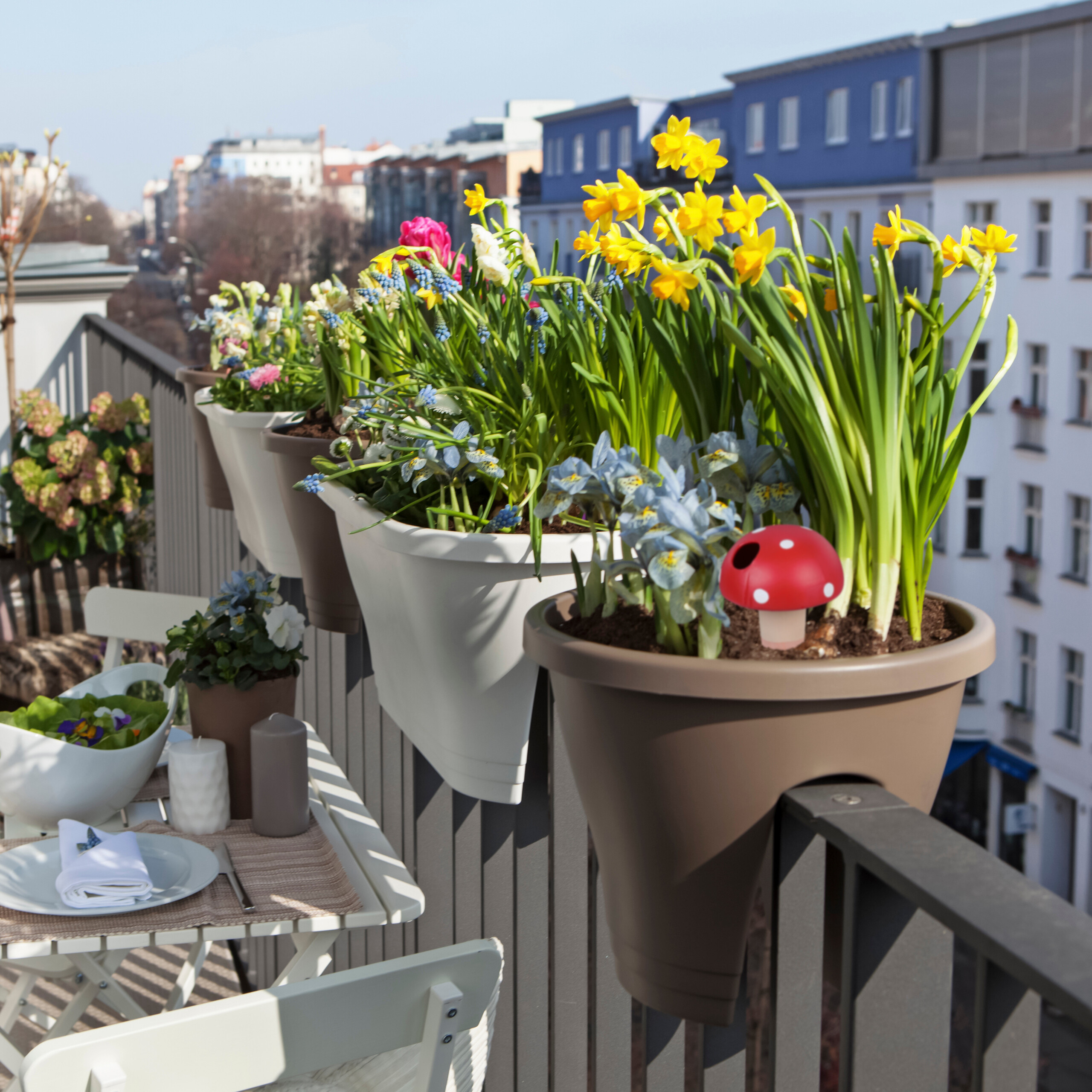 Balkon mit Blumenkisten voller gelber Narzissen, einem Deko-Pilz und gedecktem Tisch.