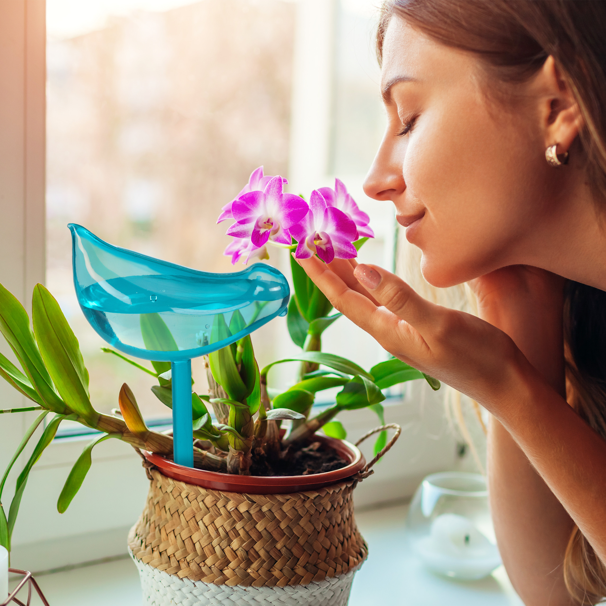 Eine Frau riecht sanft an rosa Orchideen in einem Topf mit blauem Vogel-Wasserspender.