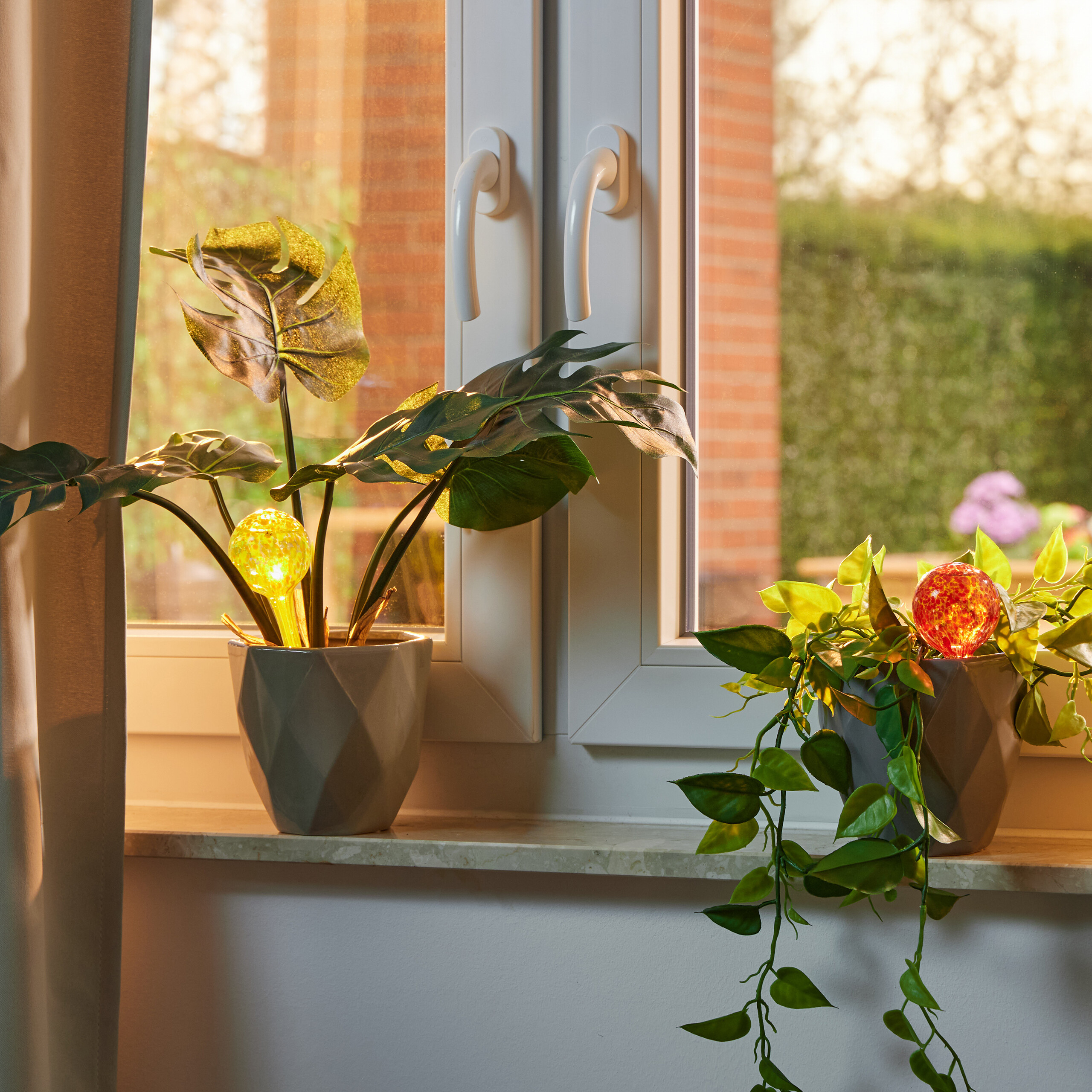 Zwei Zimmerpflanzen in grauen Töpfen auf einer Fensterbank mit glühenden Bewässerungskugeln bei Sonnenlicht.