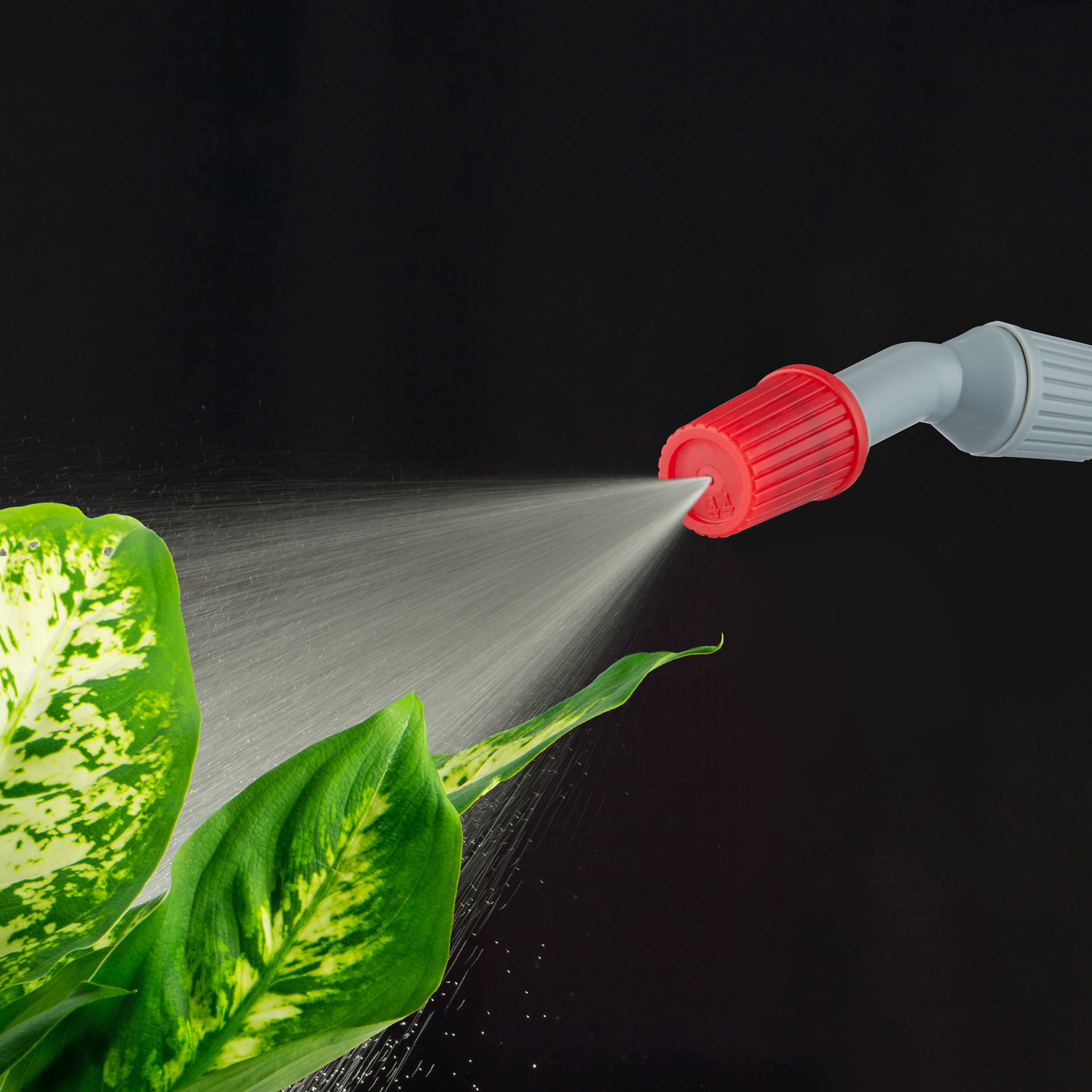 Eine Sprühdüse sprüht Wasser auf grüne und gelbe Blätter vor dunklem Hintergrund.