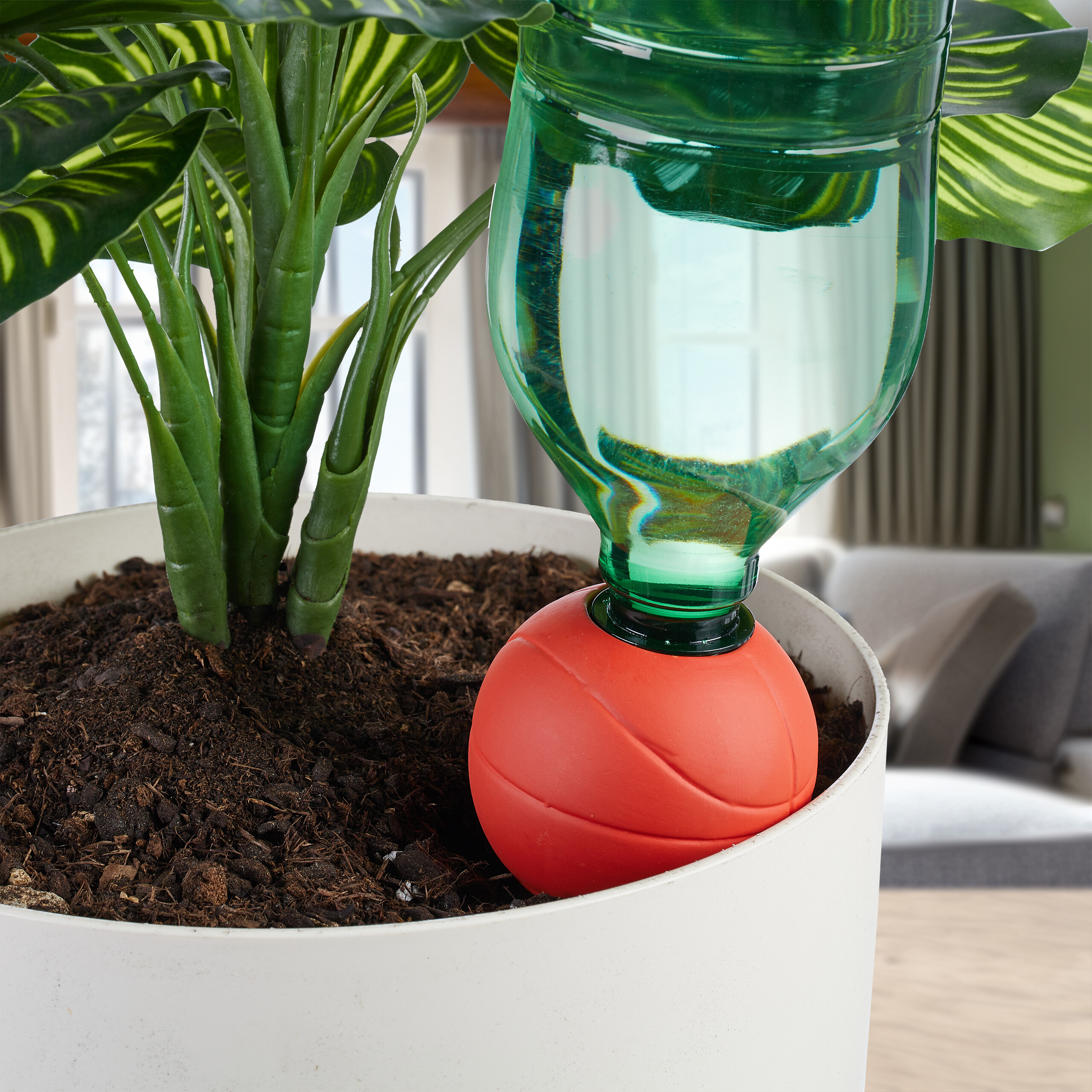 Eine grüne Wasserflasche steckt mit einer roten Kugel in der Blumenerde eines großen weißen Pflanztopfes neben einer Pflanze.