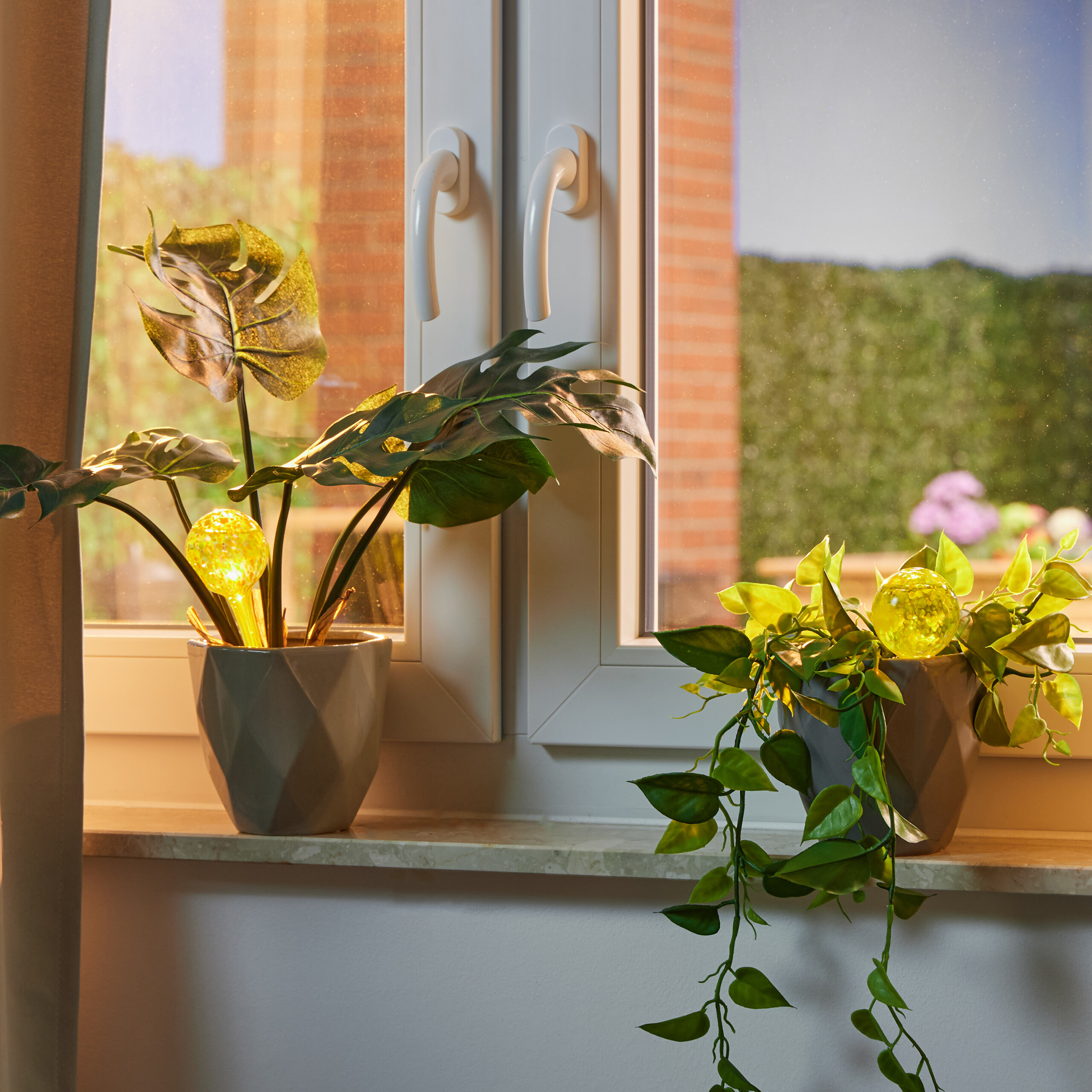 Zwei Zimmerpflanzen in grauen Töpfen auf einer Fensterbank mit glühenden gelben Kugeln.