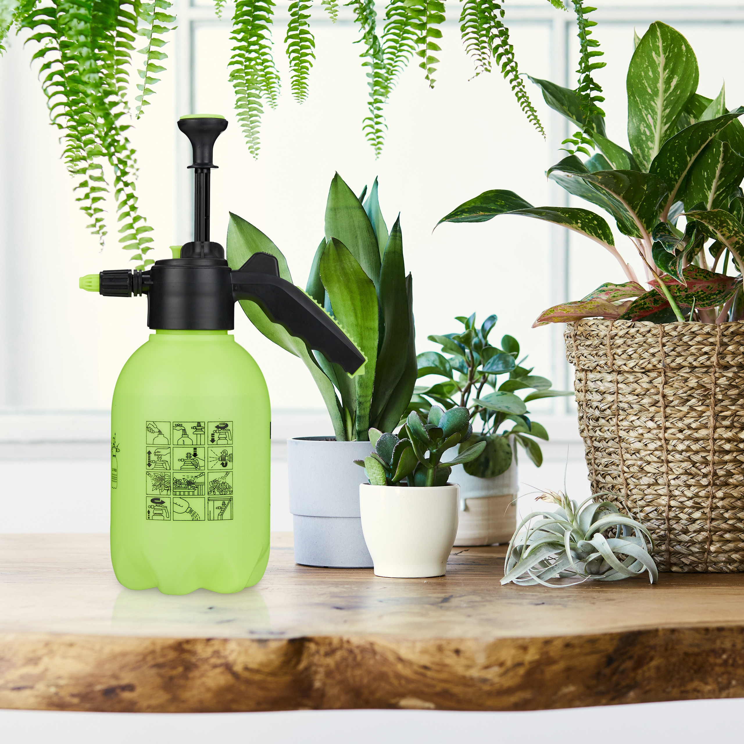 Ein grüner Pumpsprüher steht auf einem Holztisch, umgeben von verschiedenen Topfpflanzen und Hängefarne.