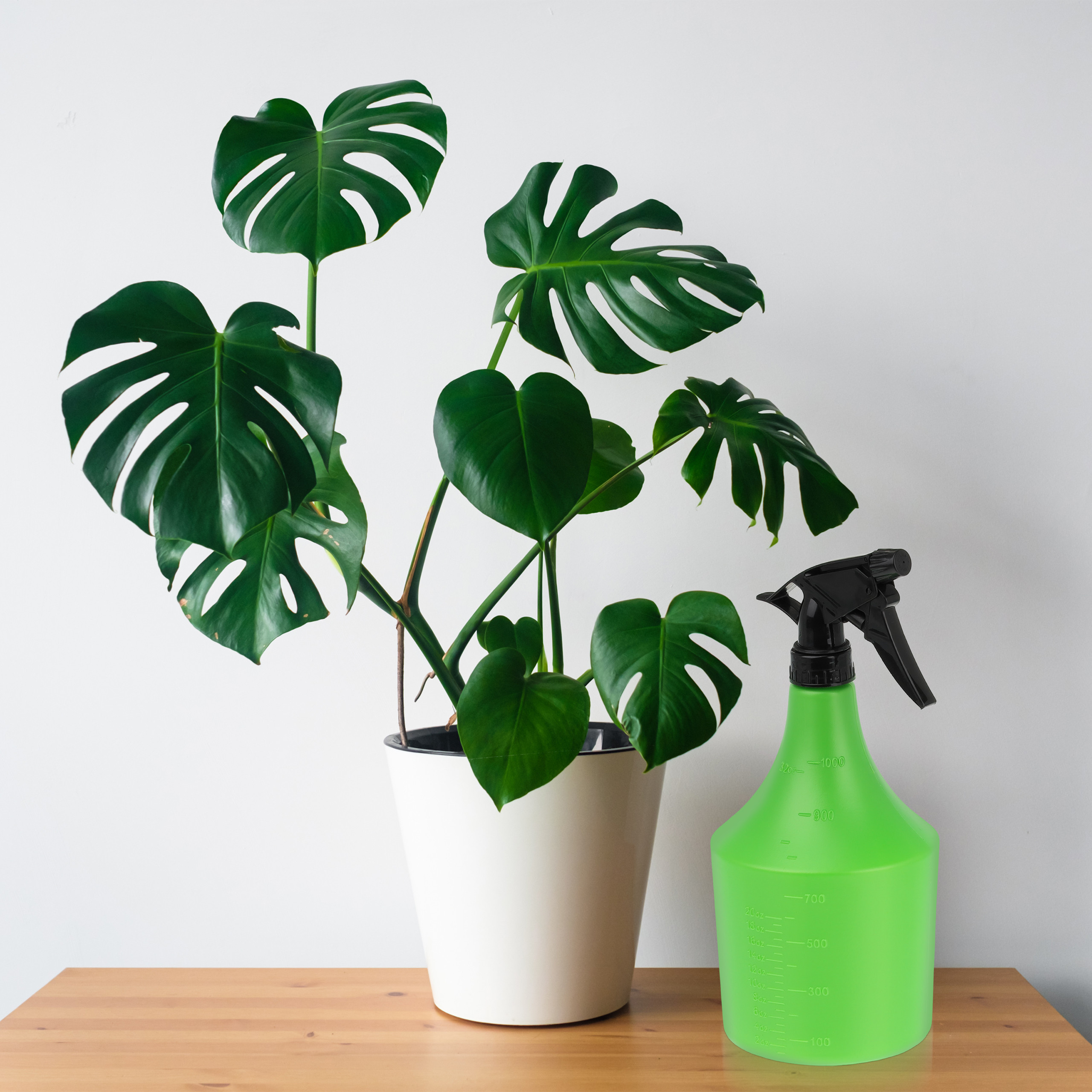 Eine Monstera-Pflanze und eine grüne Sprühflasche stehen auf einem Holztisch vor einer weißen Wand.