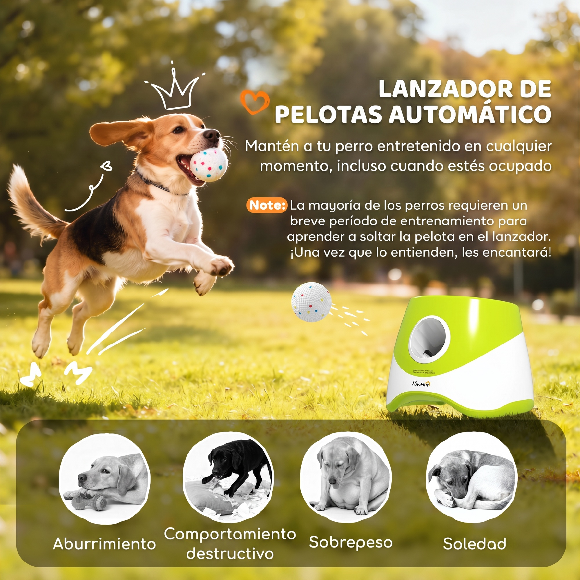 Beagle salta con una pelota en la boca en un parque junto a un lanzador automático.