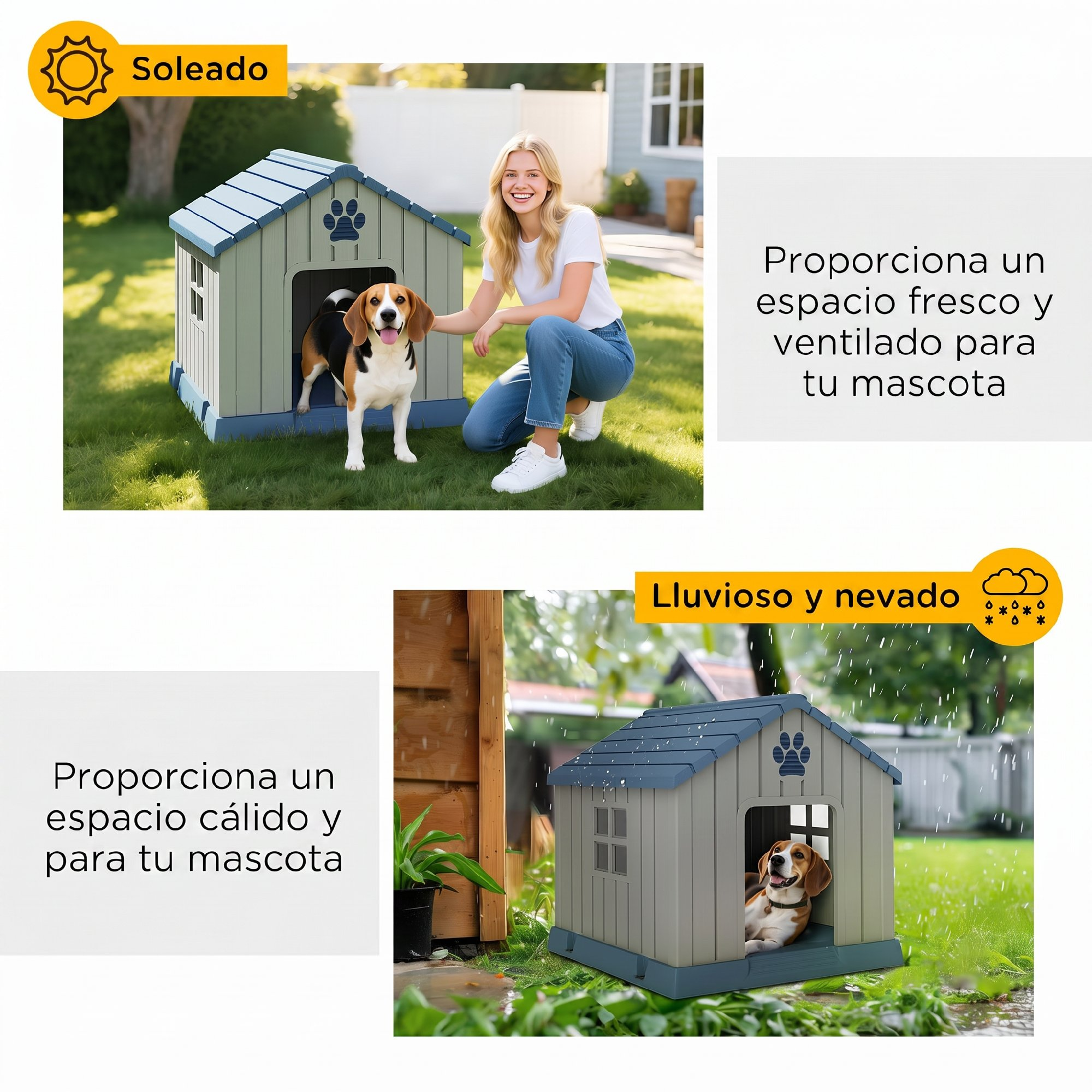 Un beagle está fuera y dentro de una caseta gris con techo azul en el jardín con sol y lluvia.