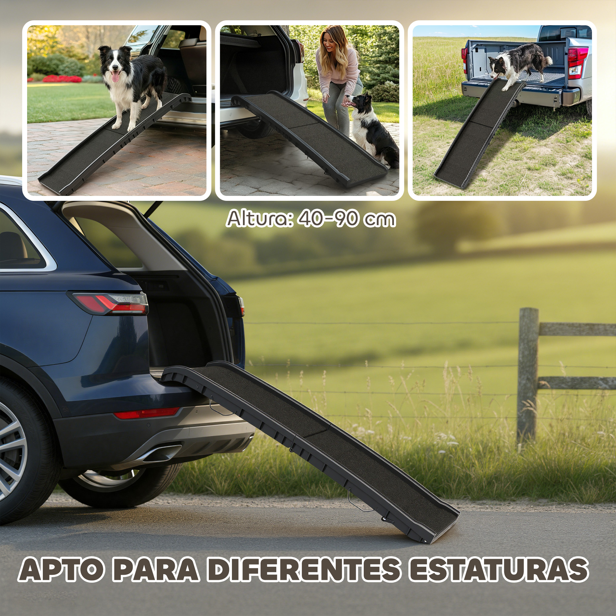 Un perro sube por una rampa plegable hacia el maletero de un coche.