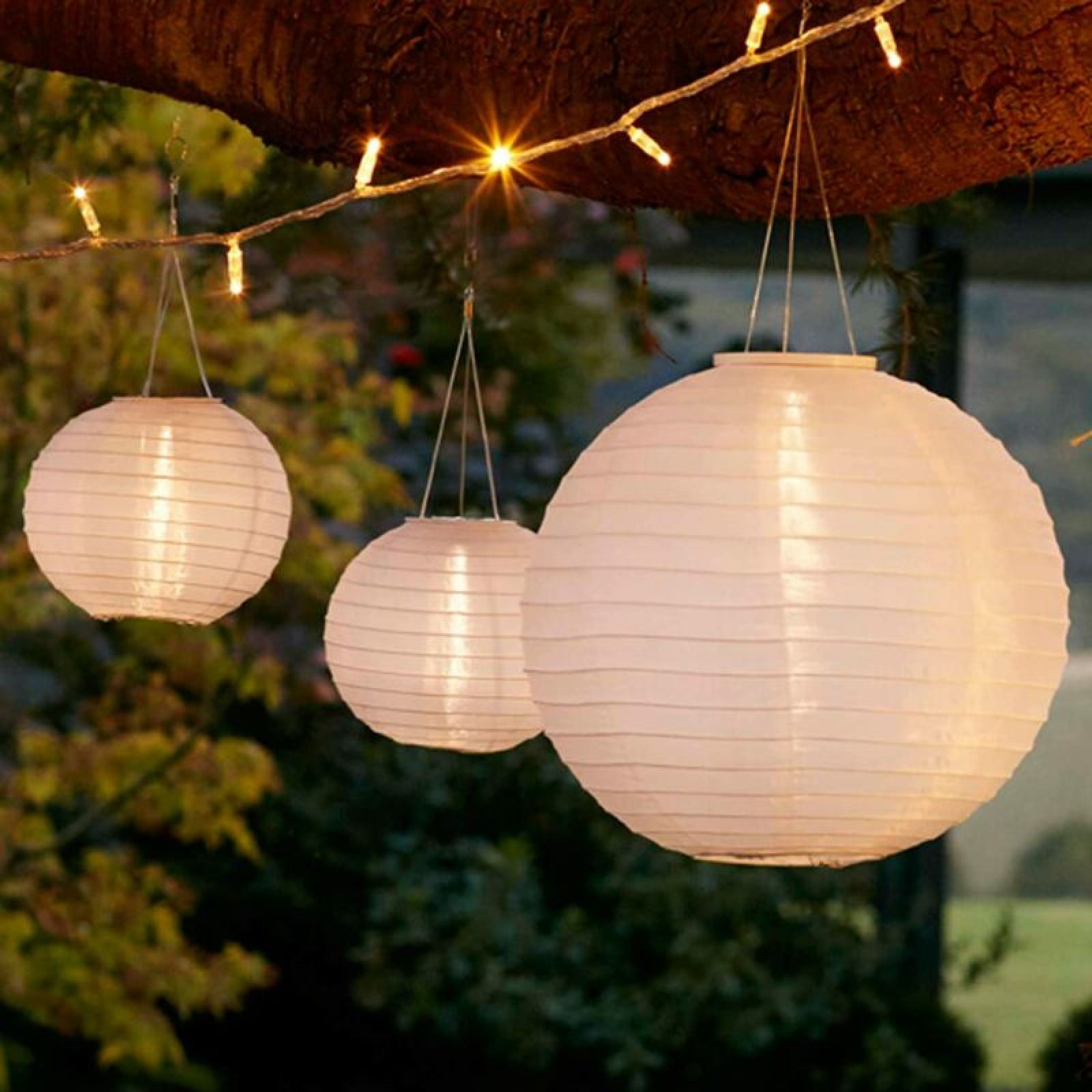 Drei weiße Papierlaternen hängen an einem Baum, umgeben von Lichterketten im Garten.