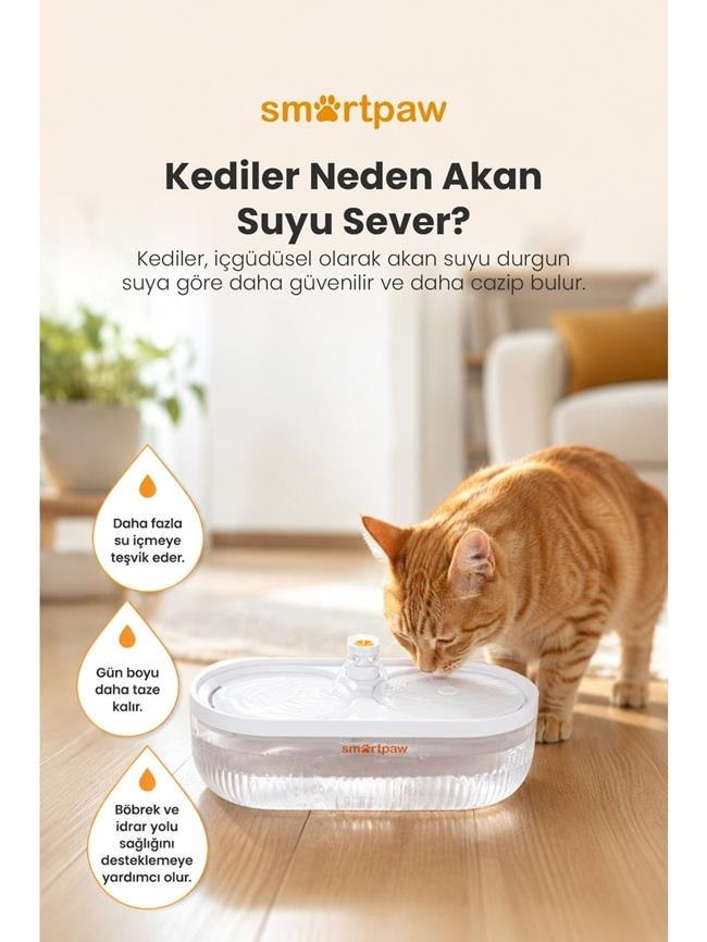 Aydınlık bir oturma odasında beyaz bir evcil hayvan su pınarından su içen turuncu tekir kedi.