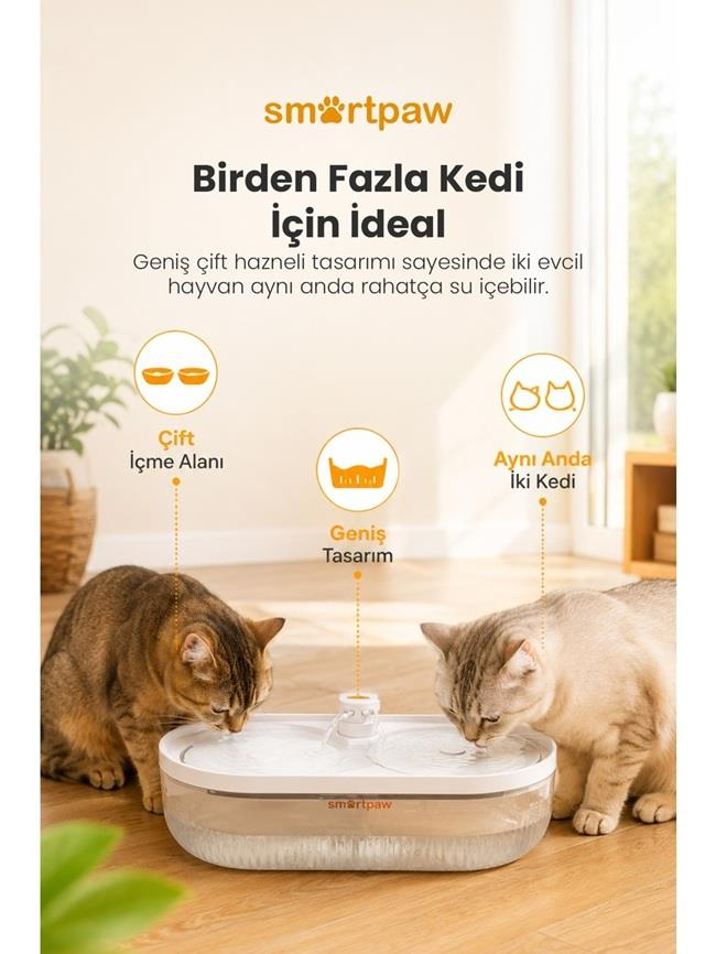 İki kedi, evde smartpaw çift hazneli akıllı su pınarından aynı anda su içiyor.
