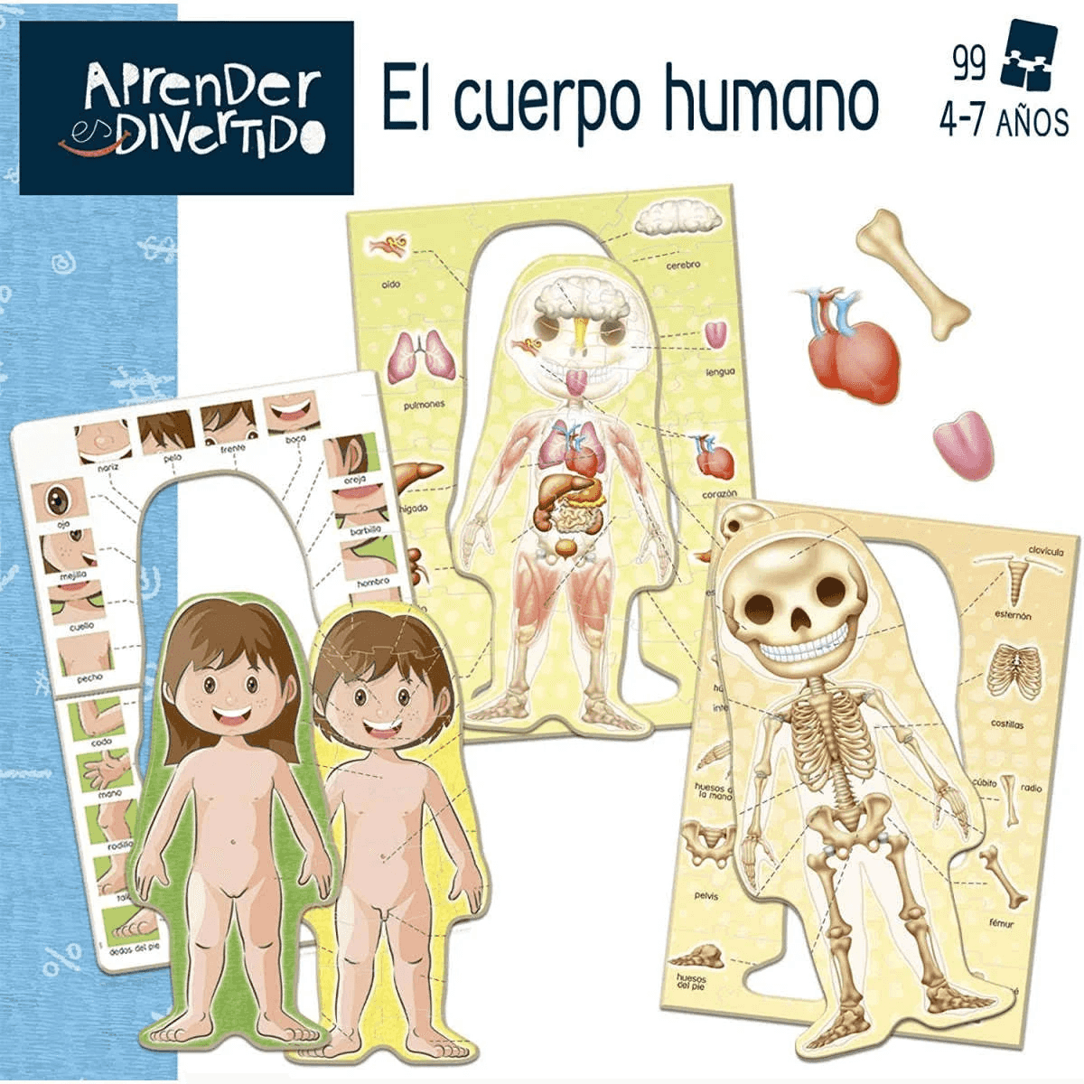 Ein Lernpuzzlespiel über den menschlichen Körper zeigt Organe, Skelett und Figuren von Kindern.