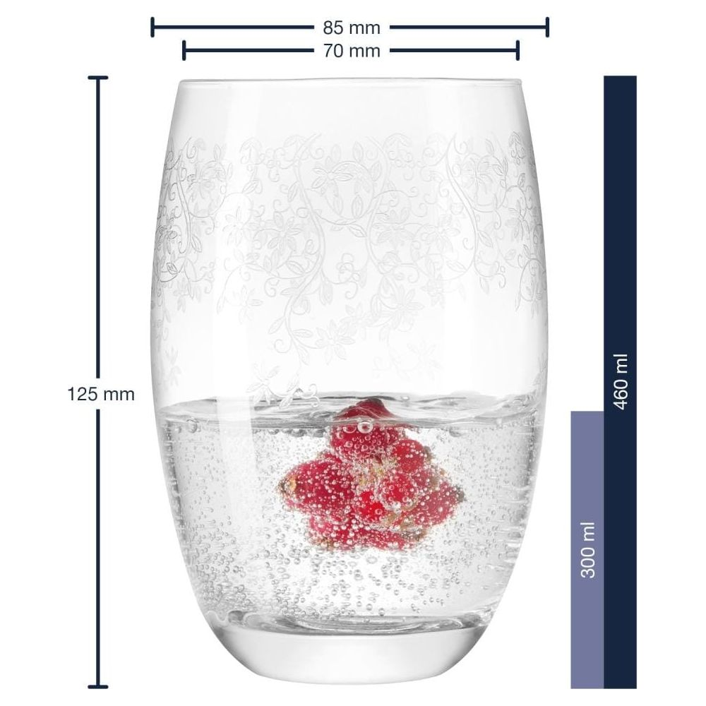 Ein graviertes Glas mit Wasser und roten Beeren, mit Maßangaben für Höhe, Durchmesser und Volumen.