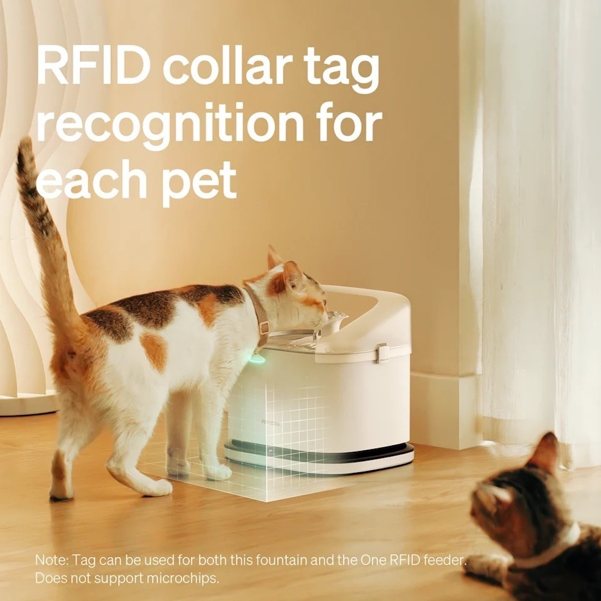 Eine Katze trinkt aus einem automatischen Brunnen mit RFID-Erkennung, während eine andere zuschaut.