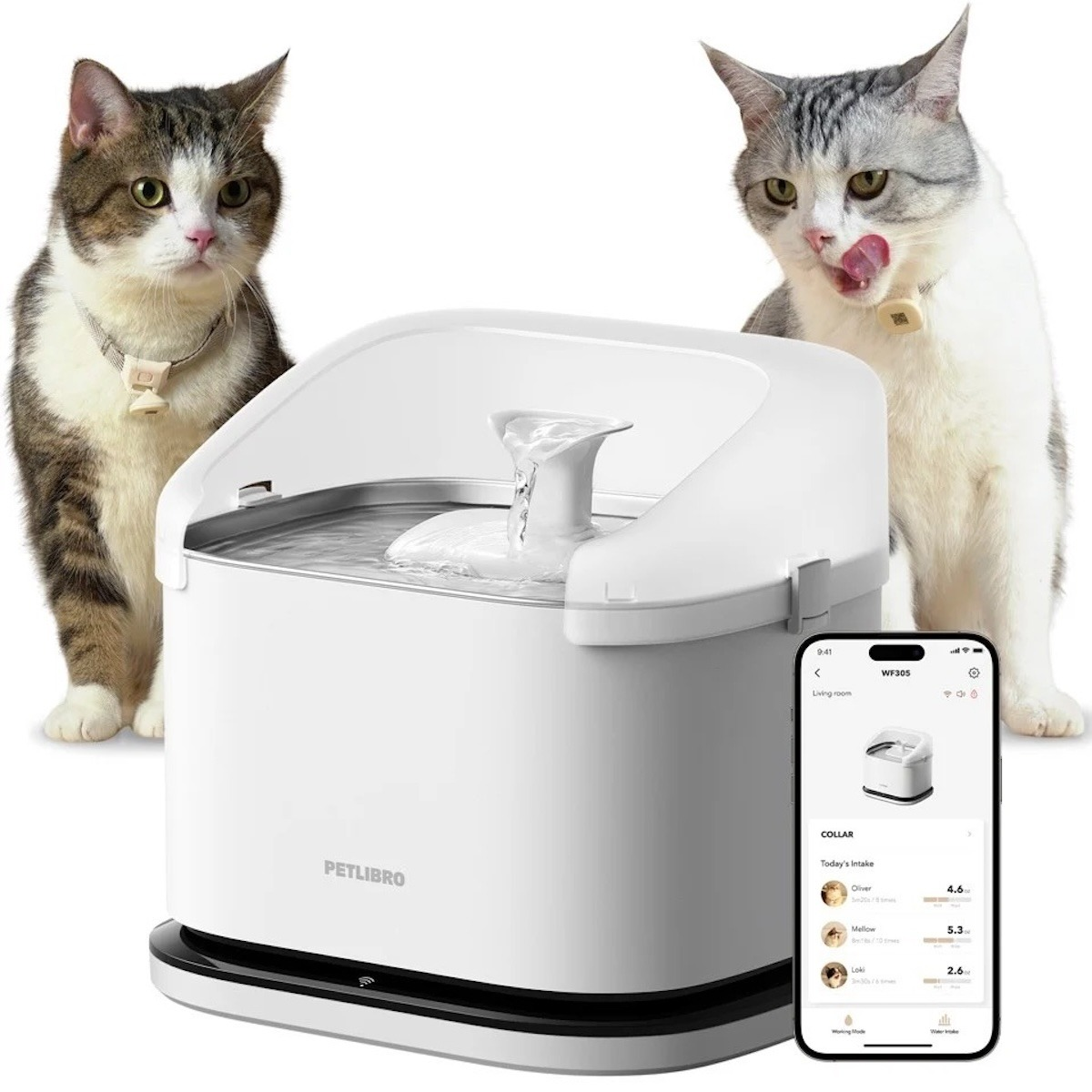Zwei Katzen, ein Petlibro-Trinkbrunnen und ein Smartphone mit App-Steuerung auf weißem Hintergrund.