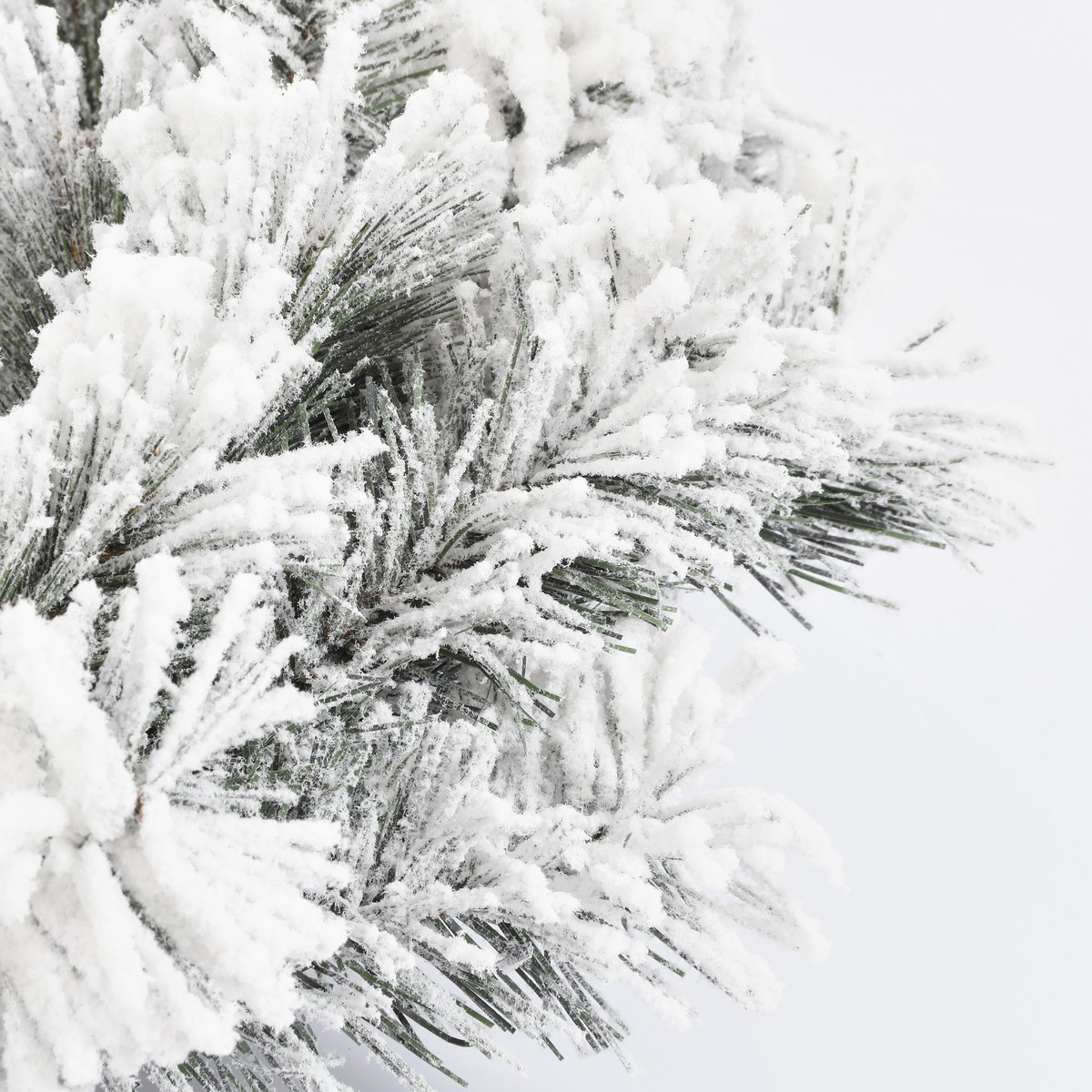 Close-up van besneeuwde groene dennentakken tegen een heldere achtergrond.