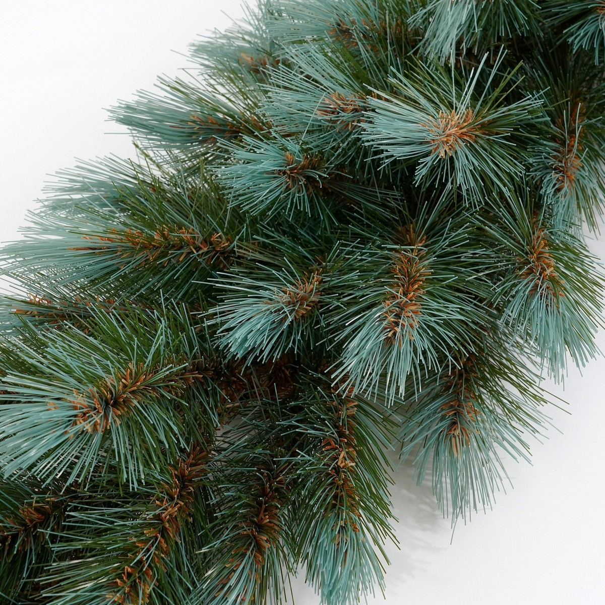 Close-up van weelderige, blauwgroene dennentakken met bruine accenten tegen een lichte achtergrond.