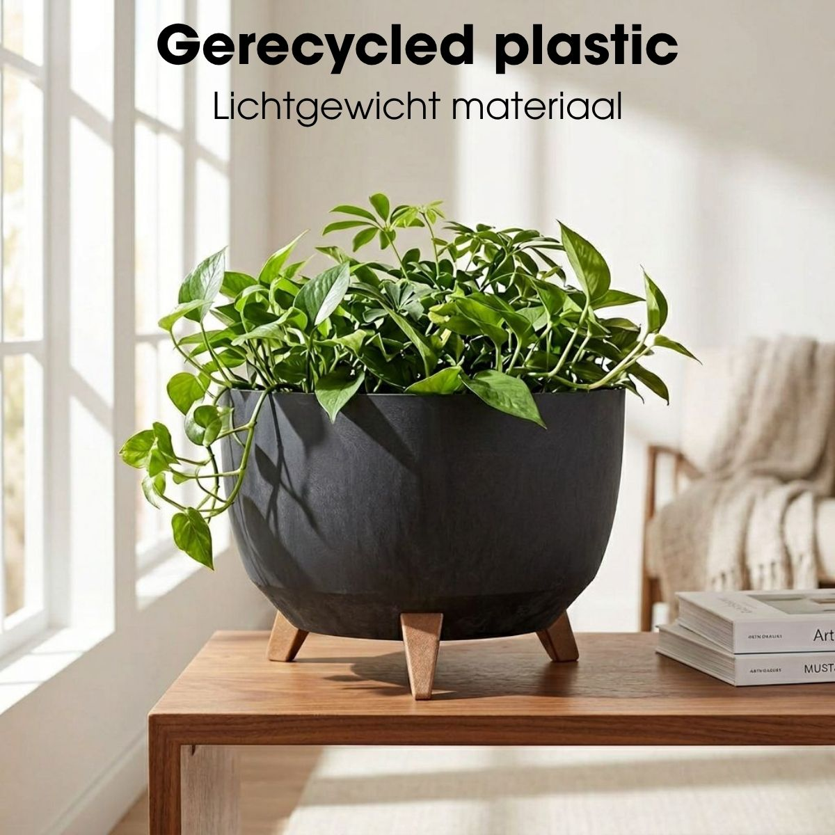 Plante verte dans un pot noir avec des pieds en bois sur une table lumineuse.
