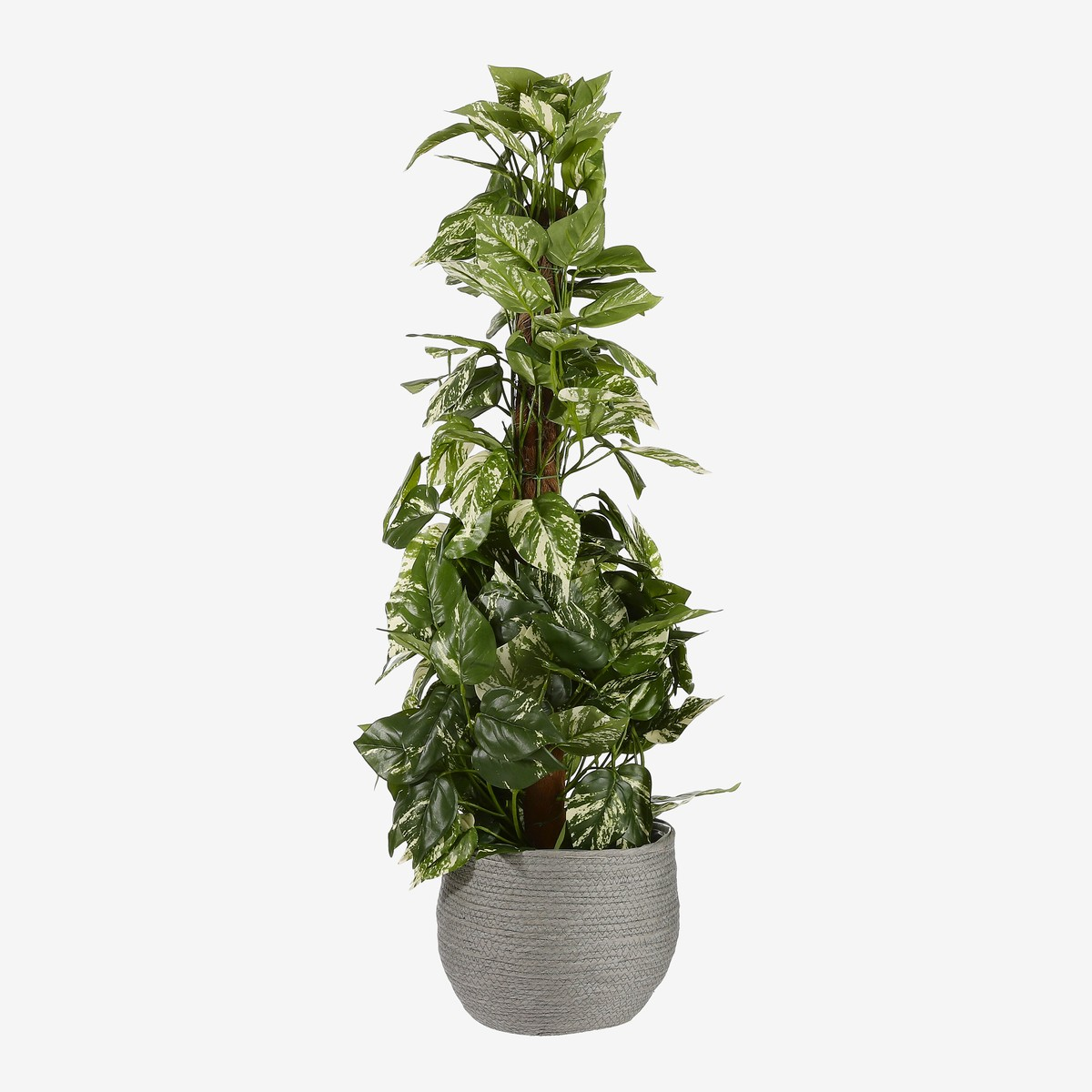 Une grande plante artificielle verte et blanche panachée grimpant sur un tuteur en mousse, dans un pot texturé gris sur fond blanc.