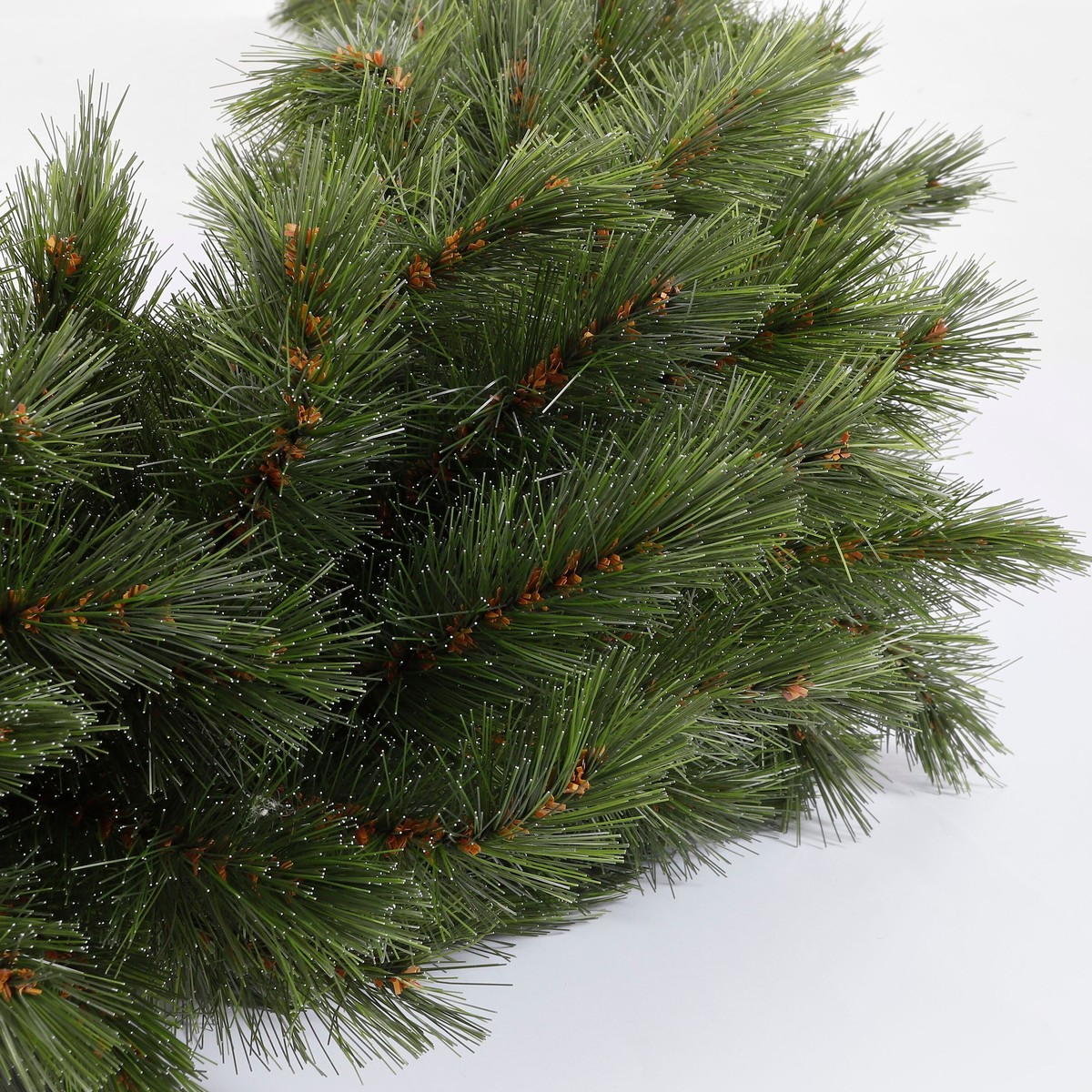 Dichte groene dennentakken met fijne bruine accenten tegen een witte achtergrond.