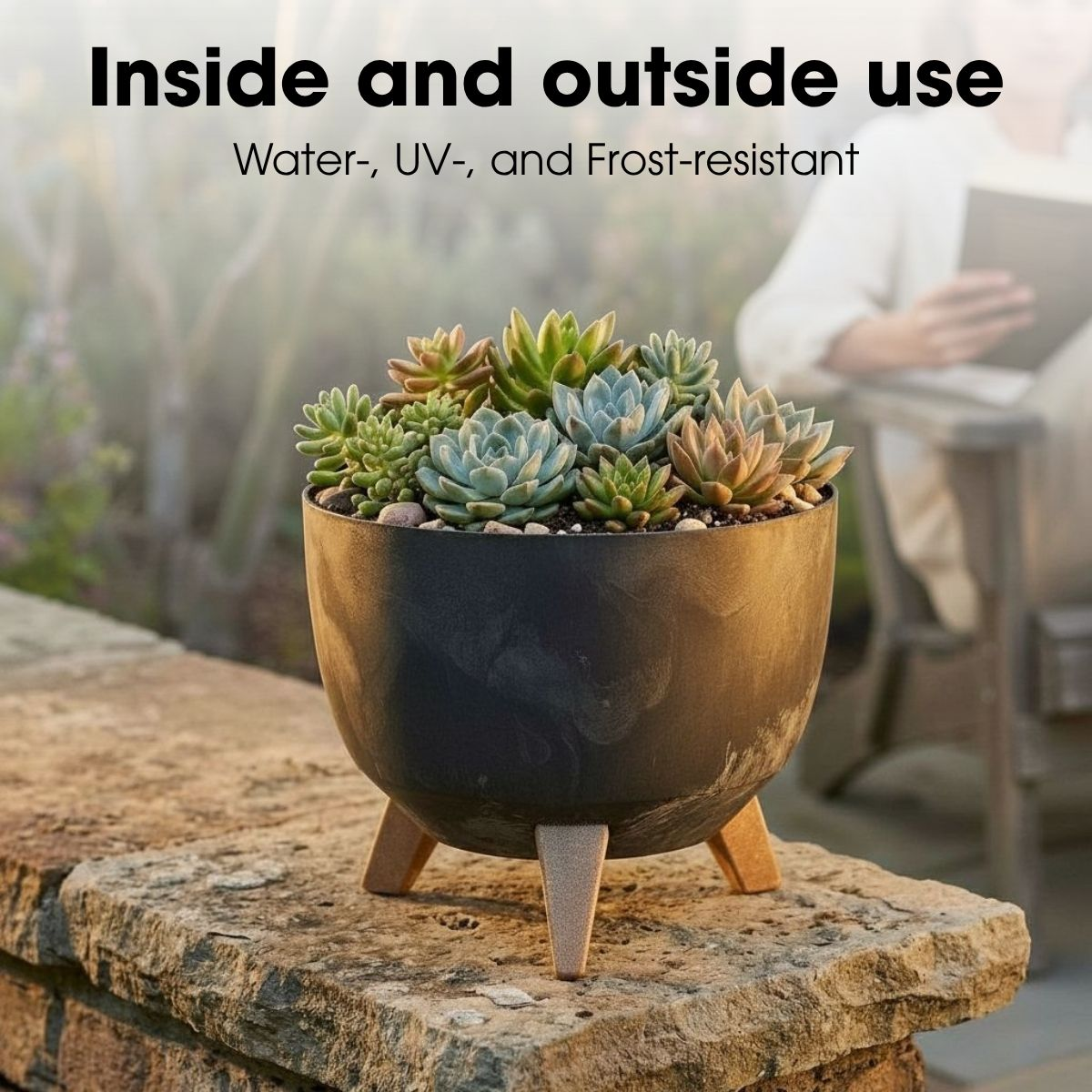 Un pot de succulentes sur un mur en pierre dans un jardin.