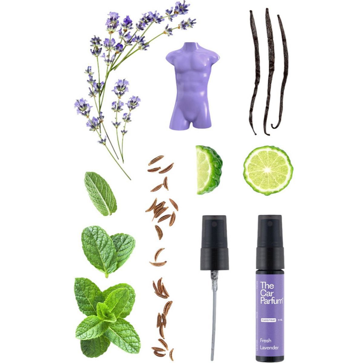 Lavendel, vanille, munt, bergamot en een paarse autoparfumfles op witte achtergrond.