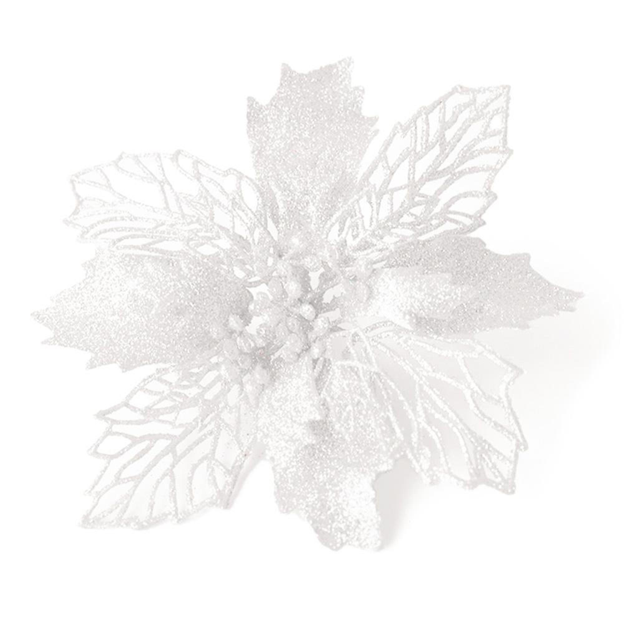 Eine glitzernde weiße Weihnachtsstern-Blüte mit detaillierten Blättern und Beeren in der Mitte auf weißem Hintergrund.