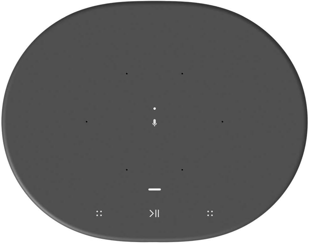 Dunkelgraue, ovale Lautsprecheroberseite mit Touch-Bedienelementen, Mikrofon- und Play-Pause-Symbolen.
