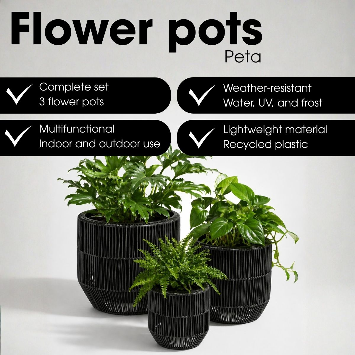 Trois pots de fleurs noirs avec des plantes vertes sur fond blanc et du texte.