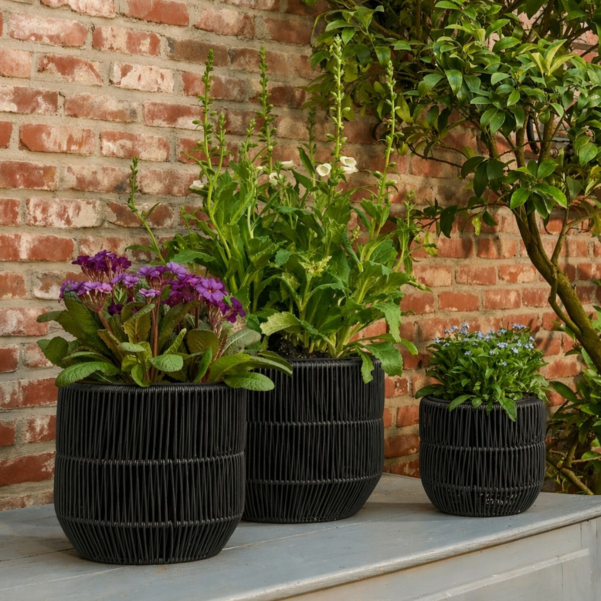 Trois jardinières tissées noires avec des fleurs violettes, blanches et bleues contre un mur de briques rouges.