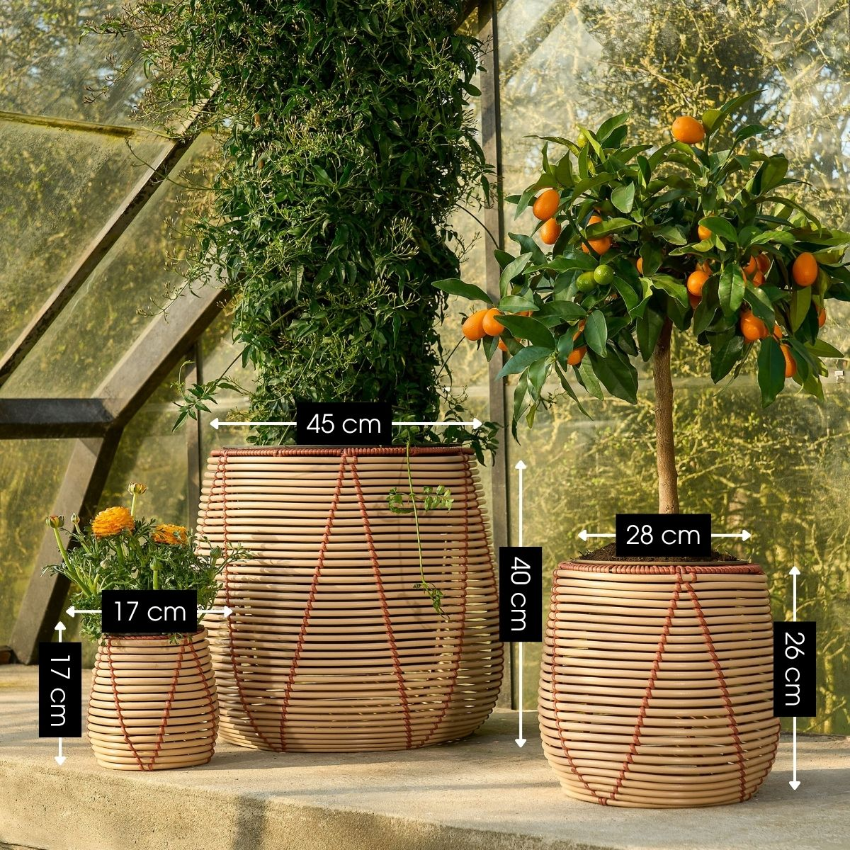 Trois bacs à plantes beiges à lattes avec des dimensions dans une serre avec des plantes.