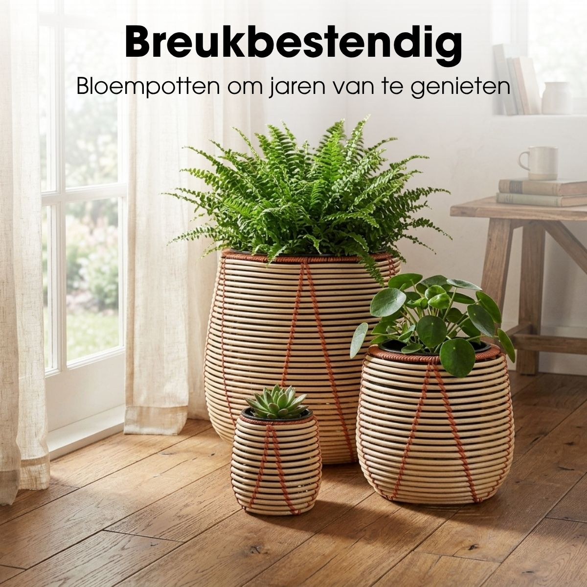 Trois pots de fleurs tressés ronds avec des plantes vertes sur un sol en bois devant une fenêtre.