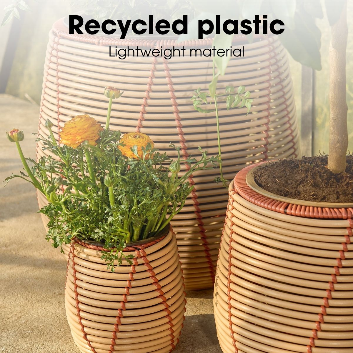 Trois pots de fleurs en plastique tissé beige et rouge, avec des fleurs et un petit arbre.