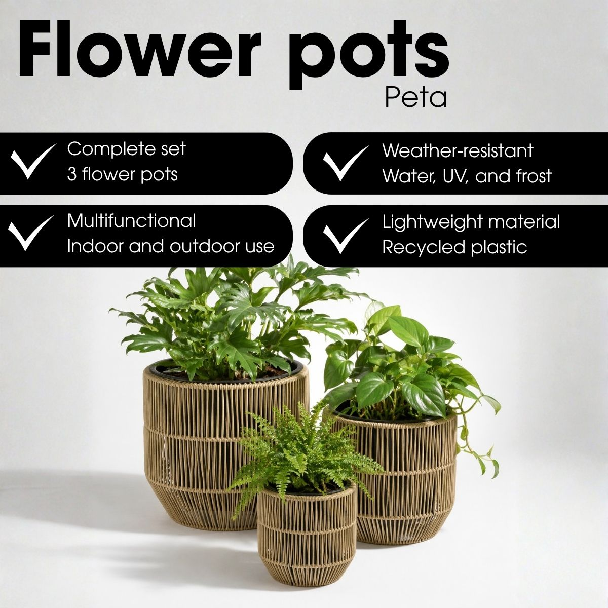 Trois pots de fleurs en osier beige avec plantes vertes sur fond blanc et texte de caractéristiques.