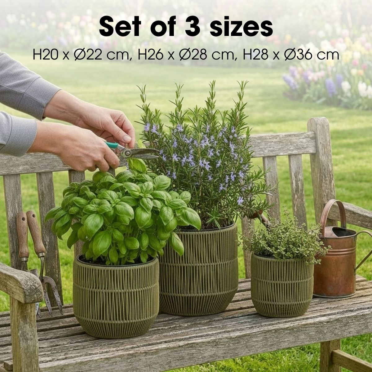 Trois pots de fleurs tressés verts avec des herbes sur un banc de jardin en bois.