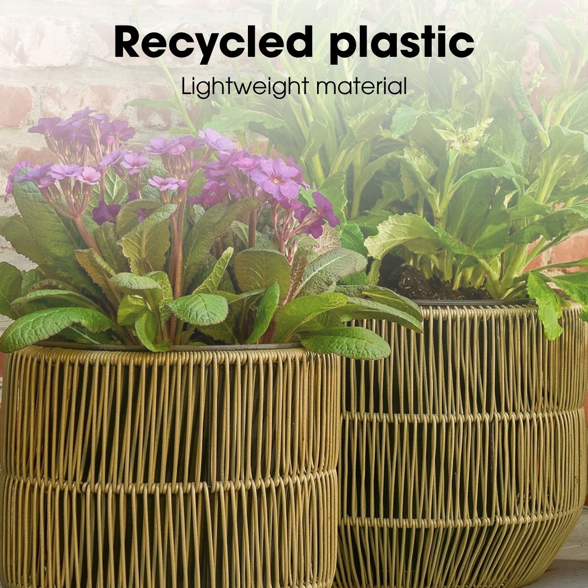Deux pots tressés avec des plantes vertes, celui de gauche avec des fleurs violettes. Texte en haut: Plastique recyclé.