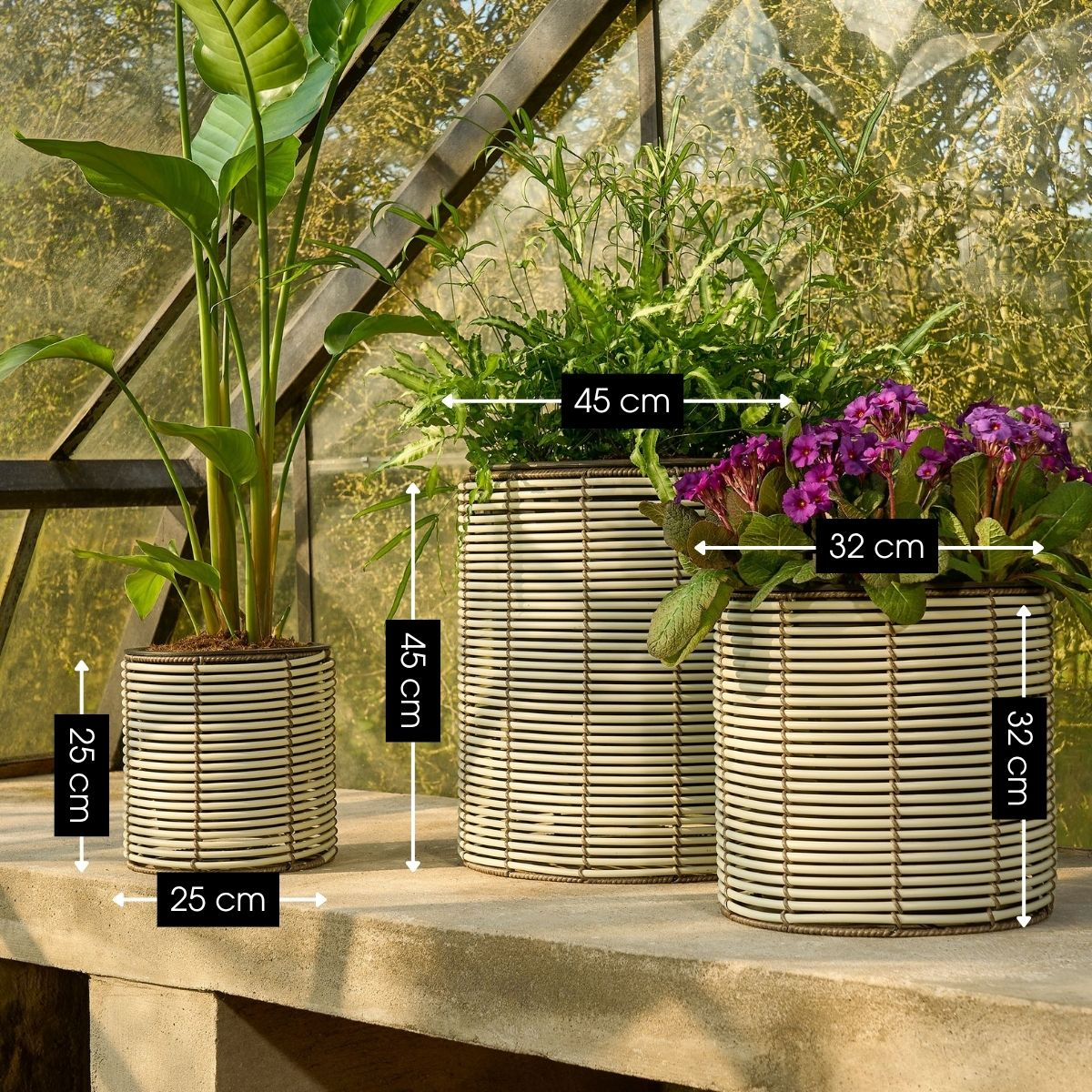 Trois pots de fleurs ronds avec dimensions sur un banc devant une serre, remplis de feuillage vert et de fleurs violettes.