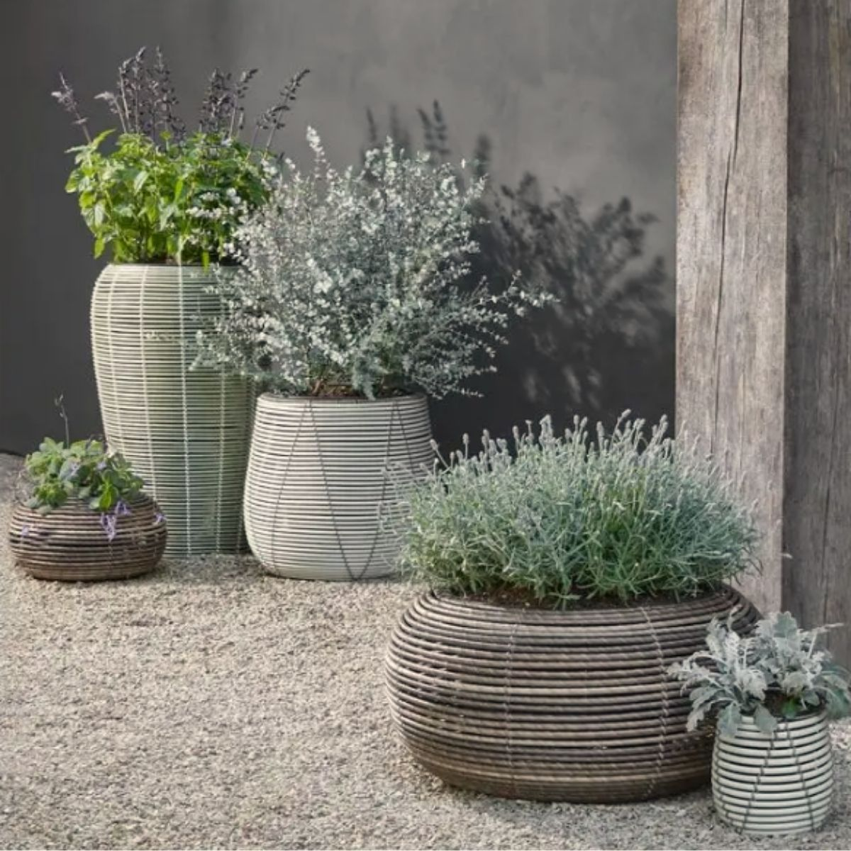 Cinq pots en osier de tailles variées avec des plantes vertes disposés sur du gravier près d'un mur sombre.