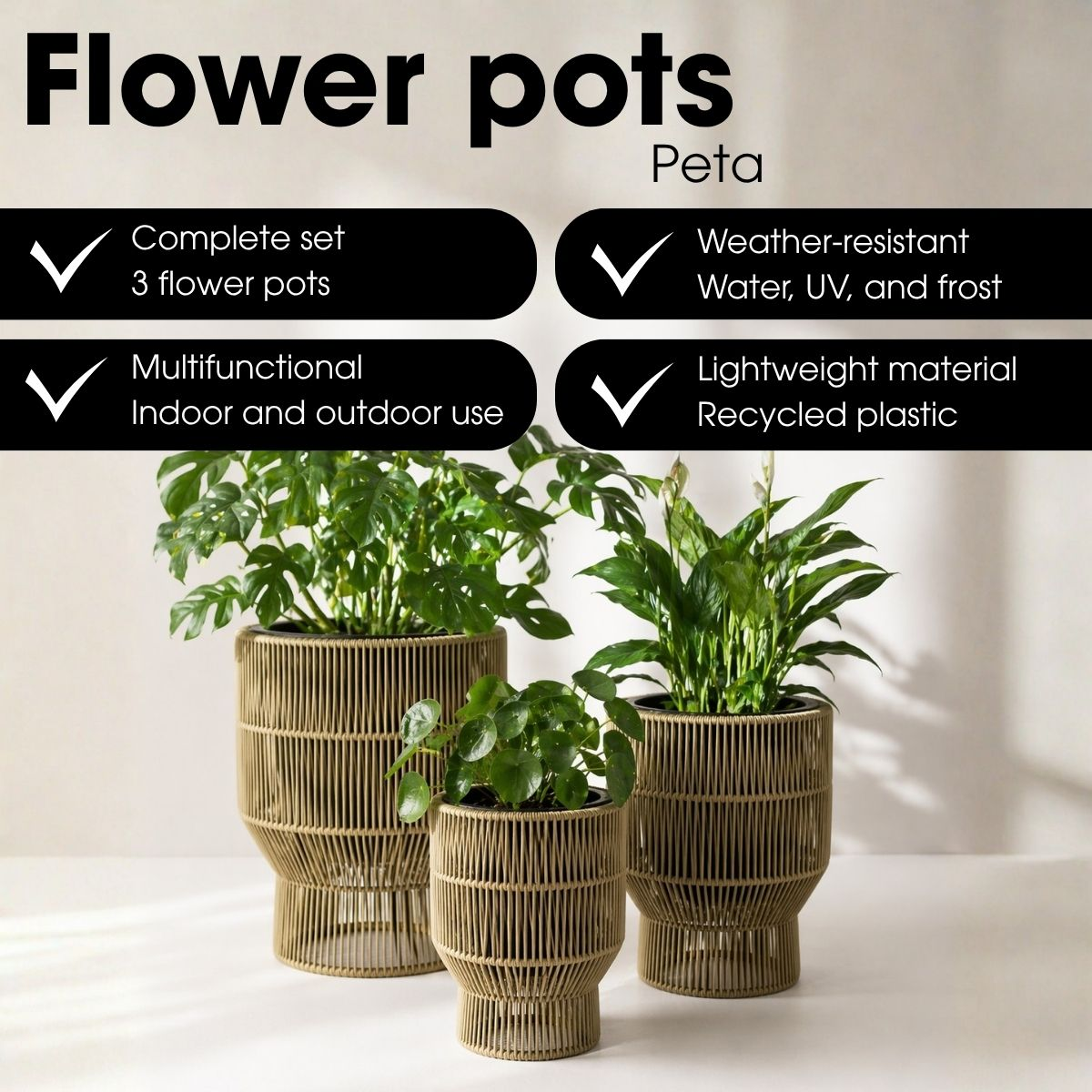 Trois pots de fleurs tissés beiges avec des plantes vertes, accompagnés de caractéristiques.
