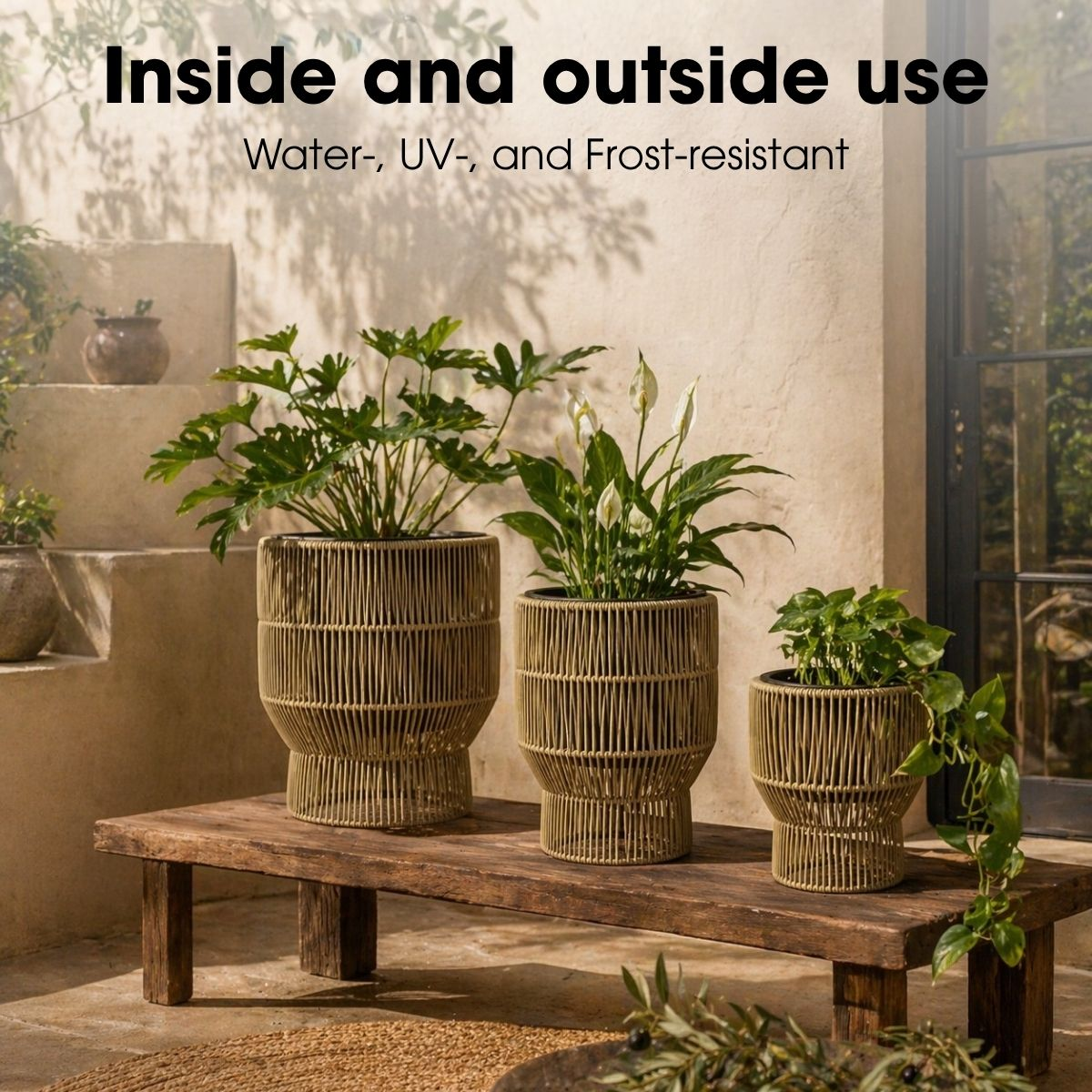 Trois pots en rotin avec des plantes vertes sur une table en bois.