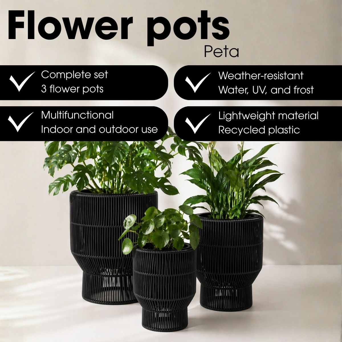 Trois pots de fleurs noirs avec des plantes vertes sur fond clair et bannières de texte.
