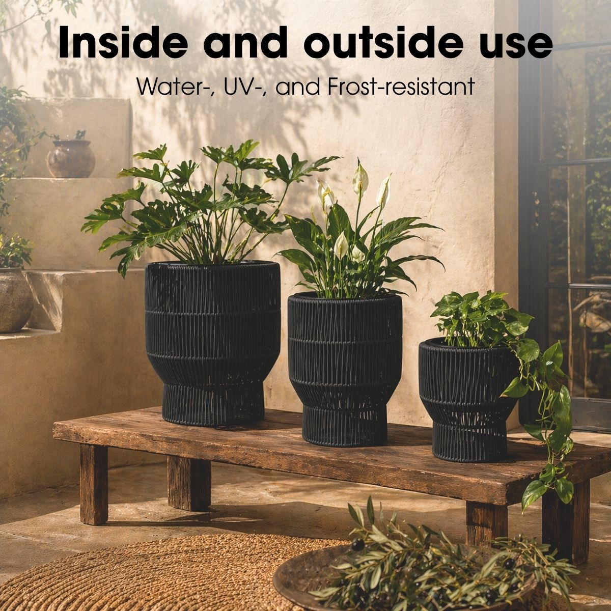 Trois jardinières noires avec feuillage vert sur un banc en bois rustique à l'extérieur.