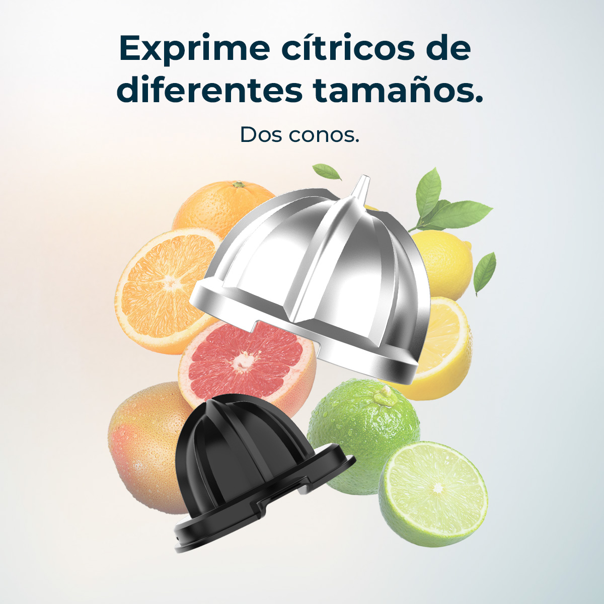 Dos conos de exprimidor en plata y negro rodeados de cítricos como naranjas, pomelos, limones y limas.